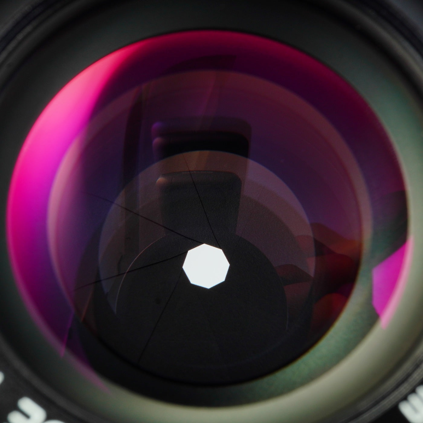 Nikon EL NIKKOR 63mm F/2.8 N 単焦点レンズ