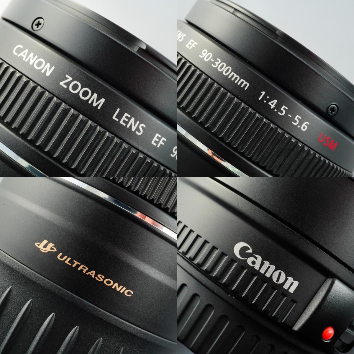 Canon EF 90-300mm F/4.5-5.6 USM ズームレンズ