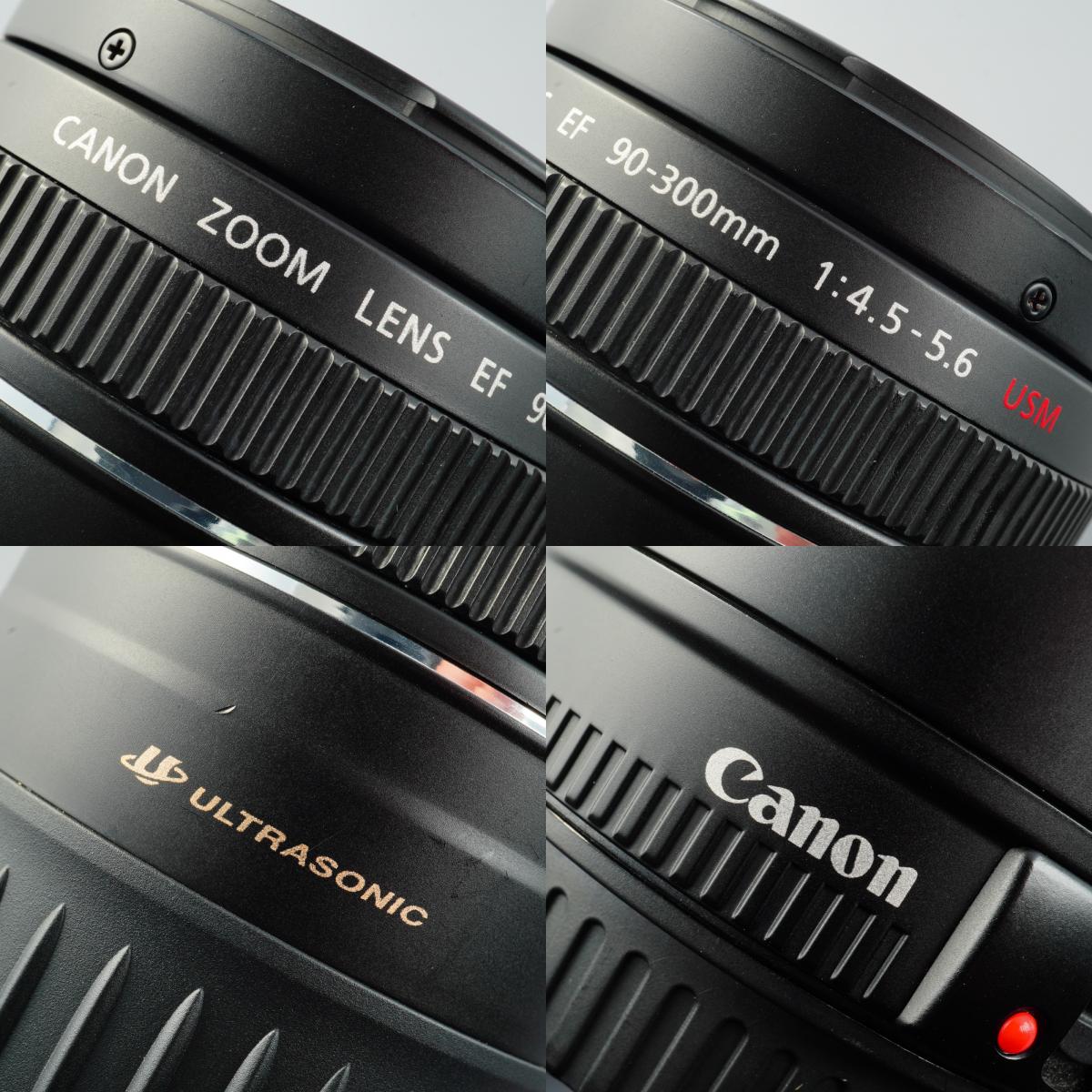 Canon EF 90-300mm F/4.5-5.6 USM ズームレンズ