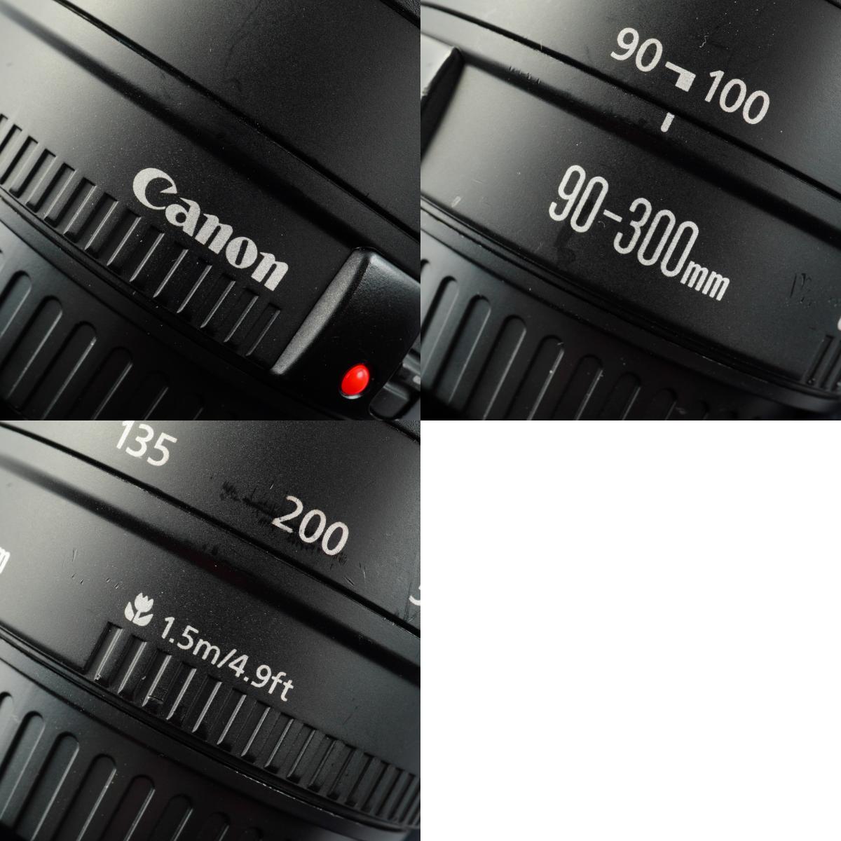 Canon EF 90-300mm F/4.5-5.6 ズームレンズ