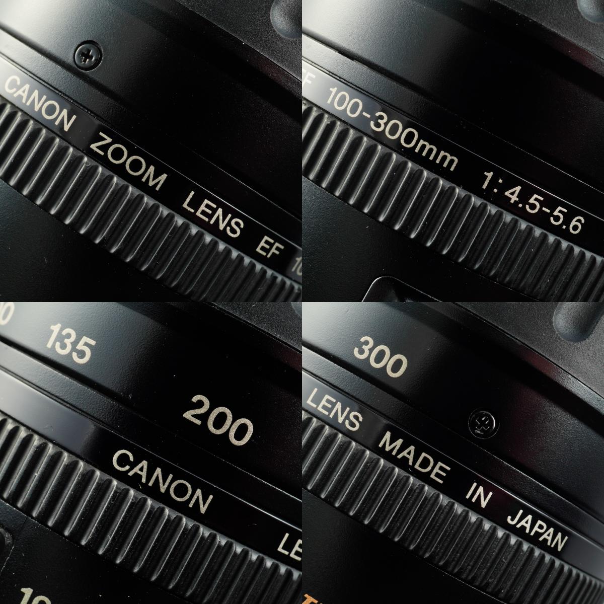 Canon EF 100-300mm F/5.6 ズームレンズ