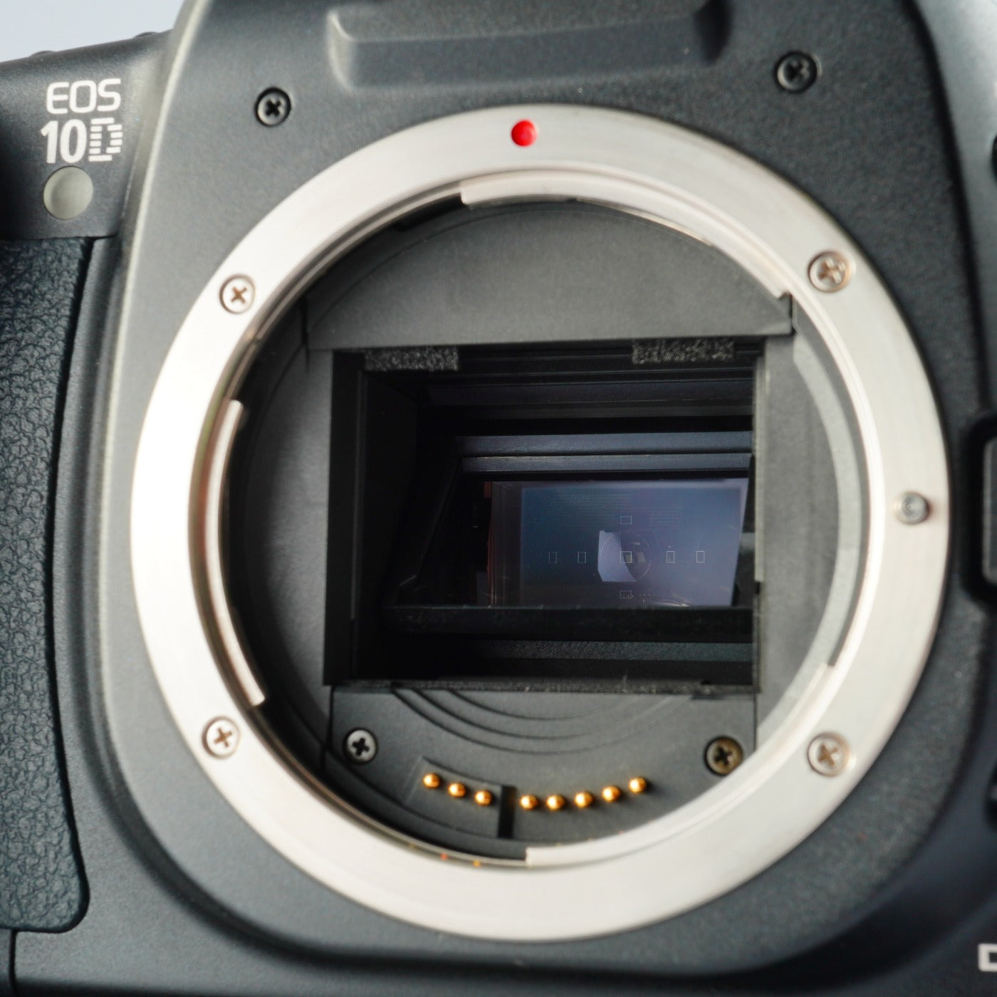 Canon EOS 10D ＋ EF 28-80mm F/3.5-5.6 Ⅲ + BG-ED3 + CF 2GB デジタル一眼レフカメラ