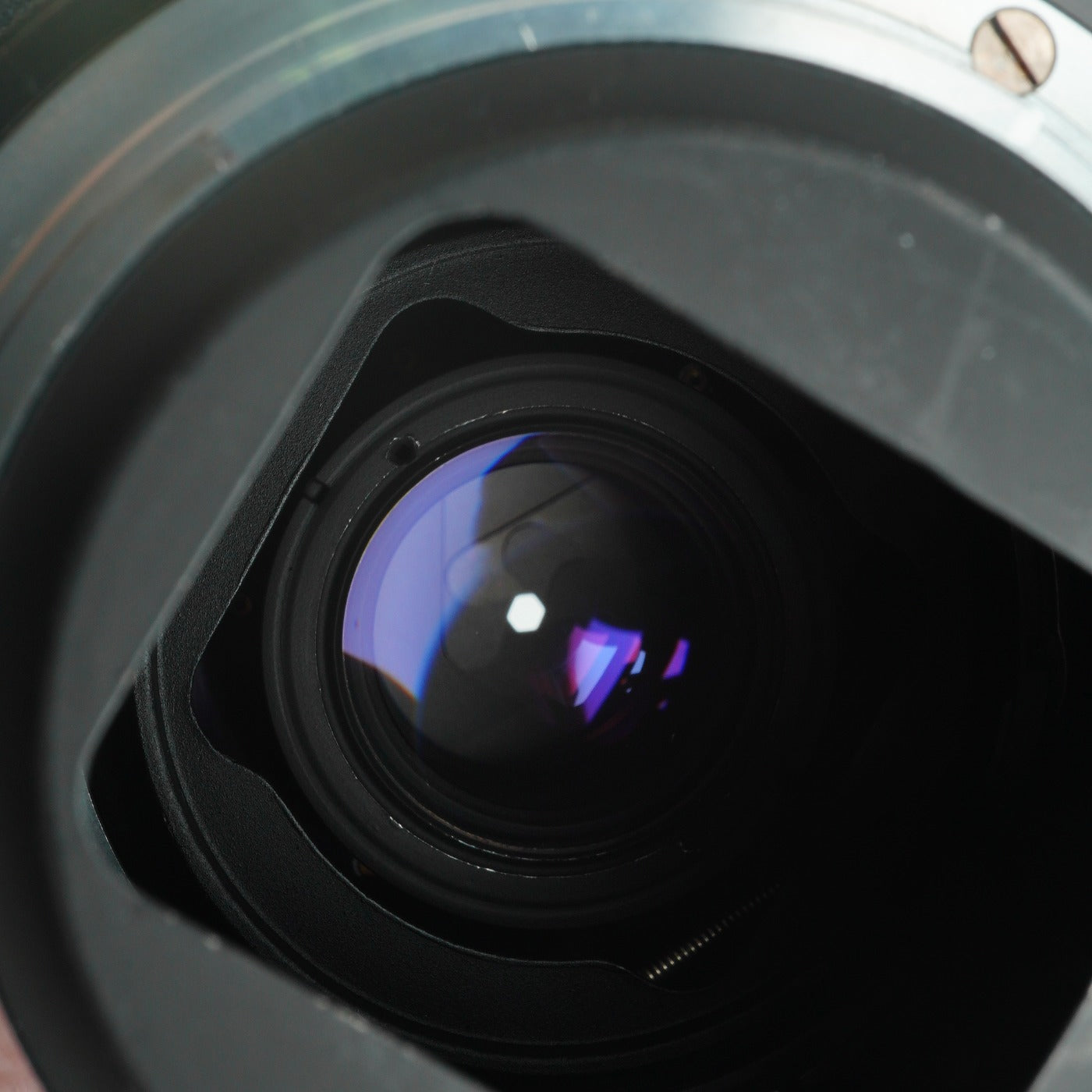 Nikon Micro Nikkor-P 55m F/3.5 非Ai 単焦点レンズ