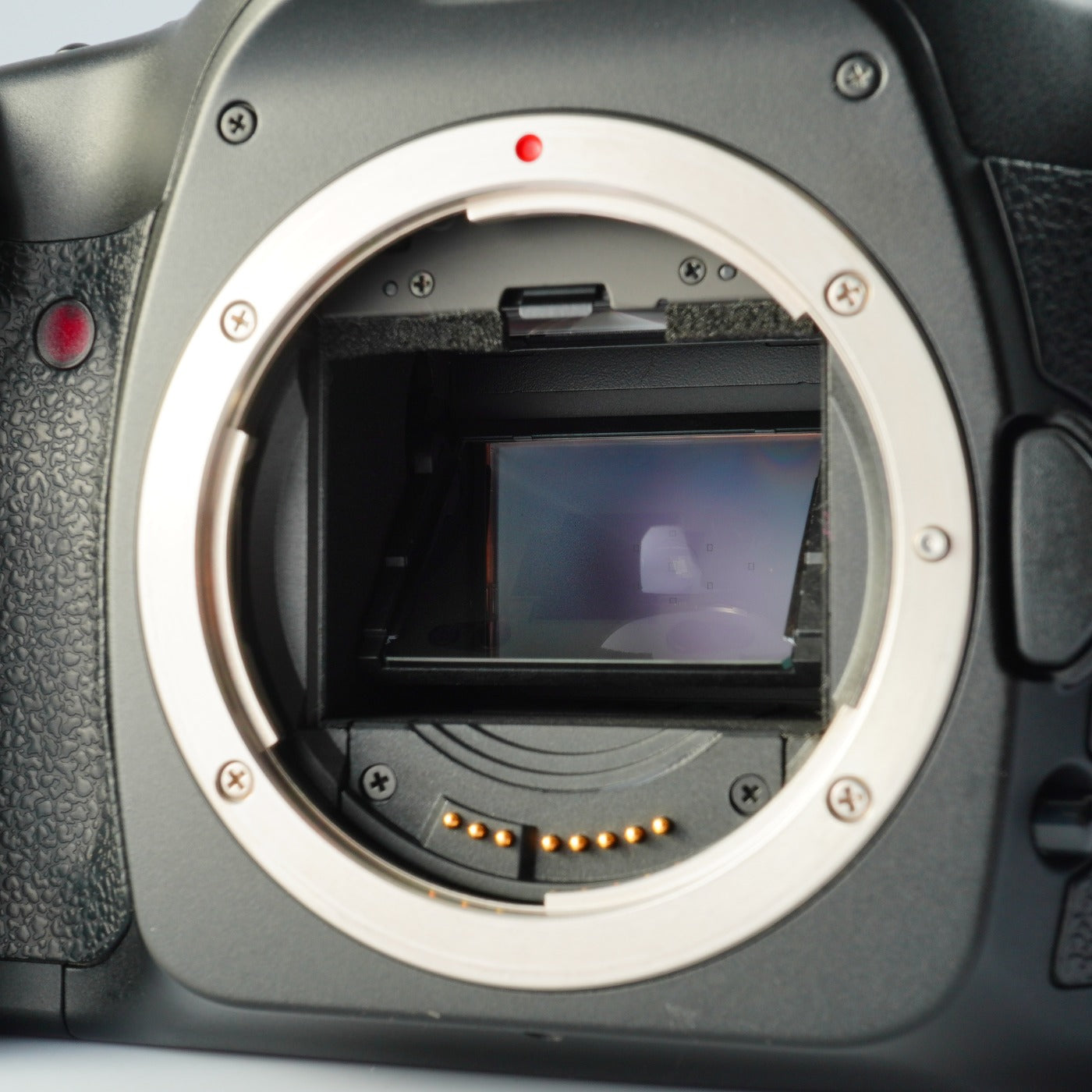 Canon EOS 5D + EF 35-105mm F/3.5-4.5 USM + CF 2GB デジタル一眼レフカメラ