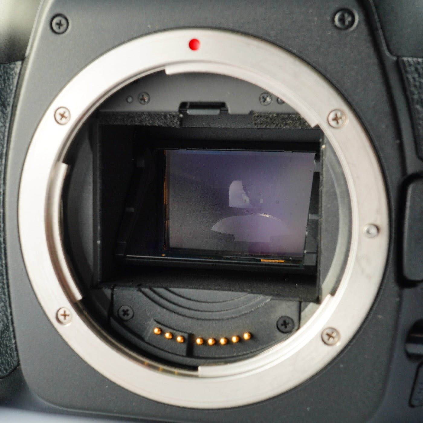 Canon EOS 5D + EF 28-80mm F/3.5-5.6 Ⅳ USM + CF 2GB デジタル一眼レフカメラ