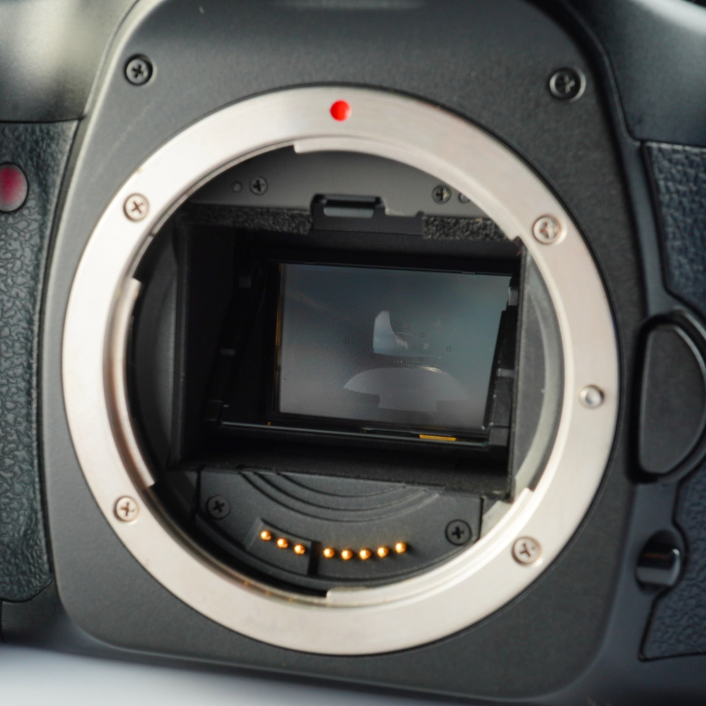 Canon EOS 5D + EF 28-80mm F/3.5-5.6 Ⅳ USM + CF 2GB デジタル一眼レフカメラ