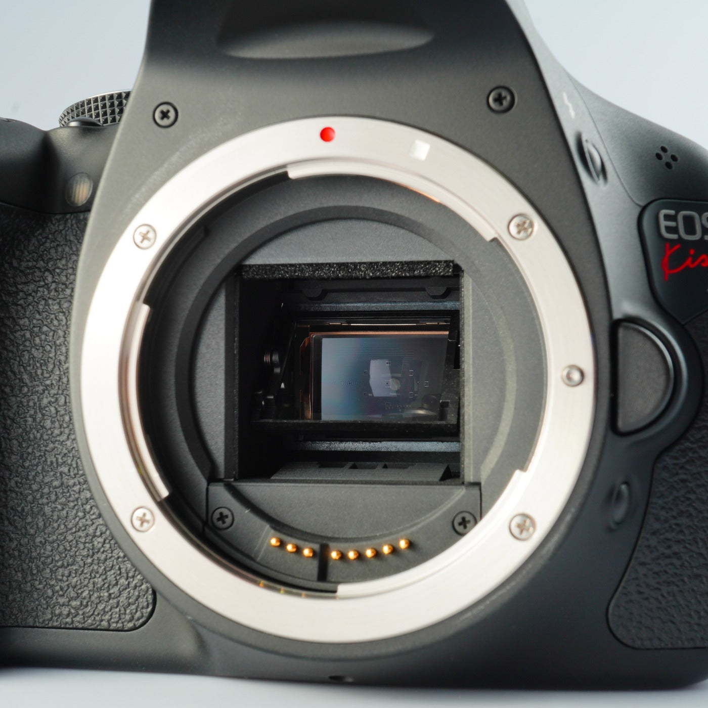 Canon EOS Kiss X5 ( Rebel T3i ) + EF-S 18-55mm F/3.5-5.6 Ⅱ USM + SD 8GB デジタル一眼レフカメラ