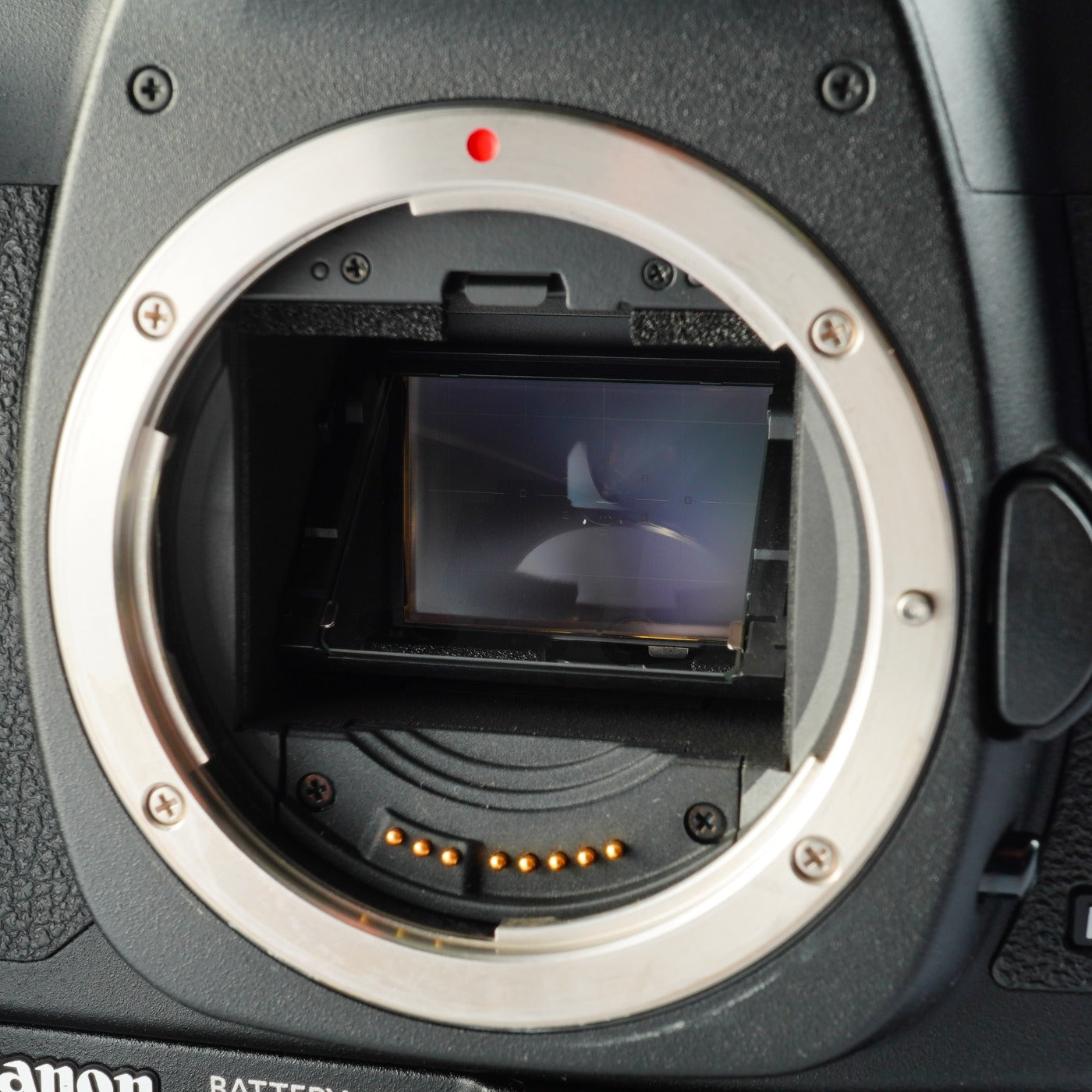 Canon EOS 5D Mark Ⅱ + EF 28-80mm F/3.5-5.6 Ⅳ USM + BG-E6 + CF 2GB デジタル一眼レフカメラ