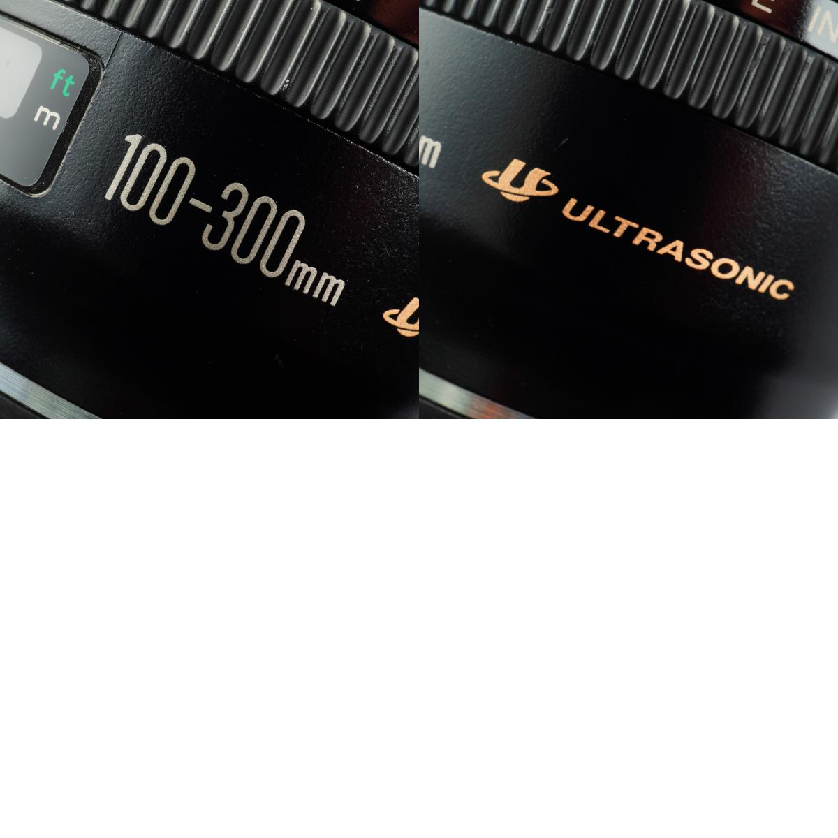 Canon EF 100-300mm F/4.5-5.6 USM ズームレンズ