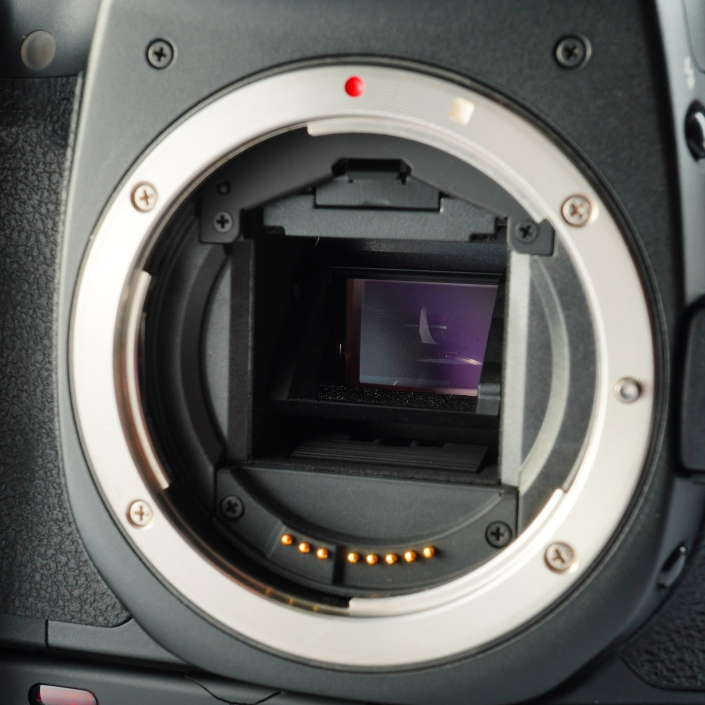 Canon EOS 40D + EF-S 18-55mm F/3.5-5.6 Ⅱ USM + CF 2GB デジタル一眼レフカメラ