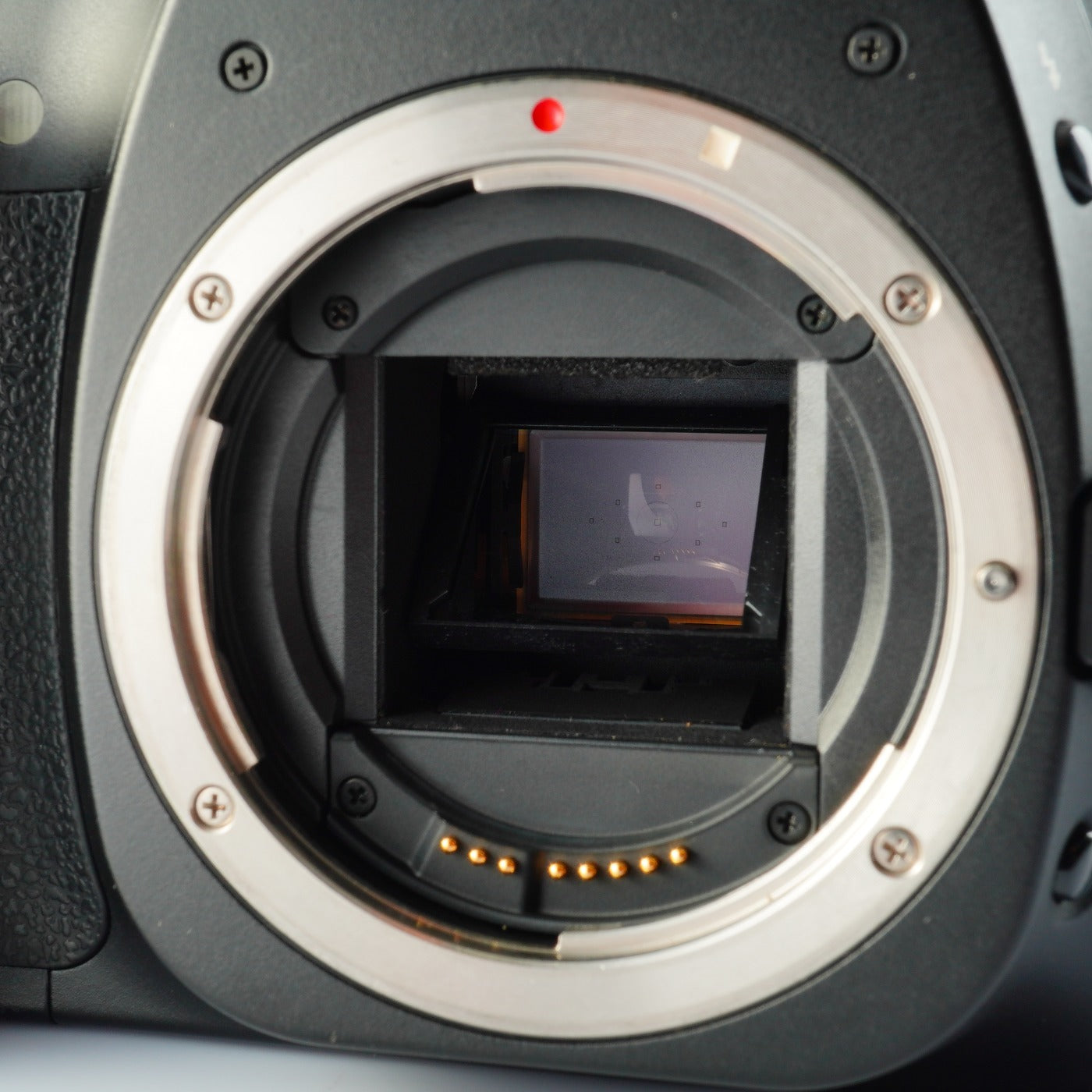 Canon EOS 30D + EF-S 18-55mm F/3.5-5.6 USM + CF 2GB デジタル一眼レフカメラ