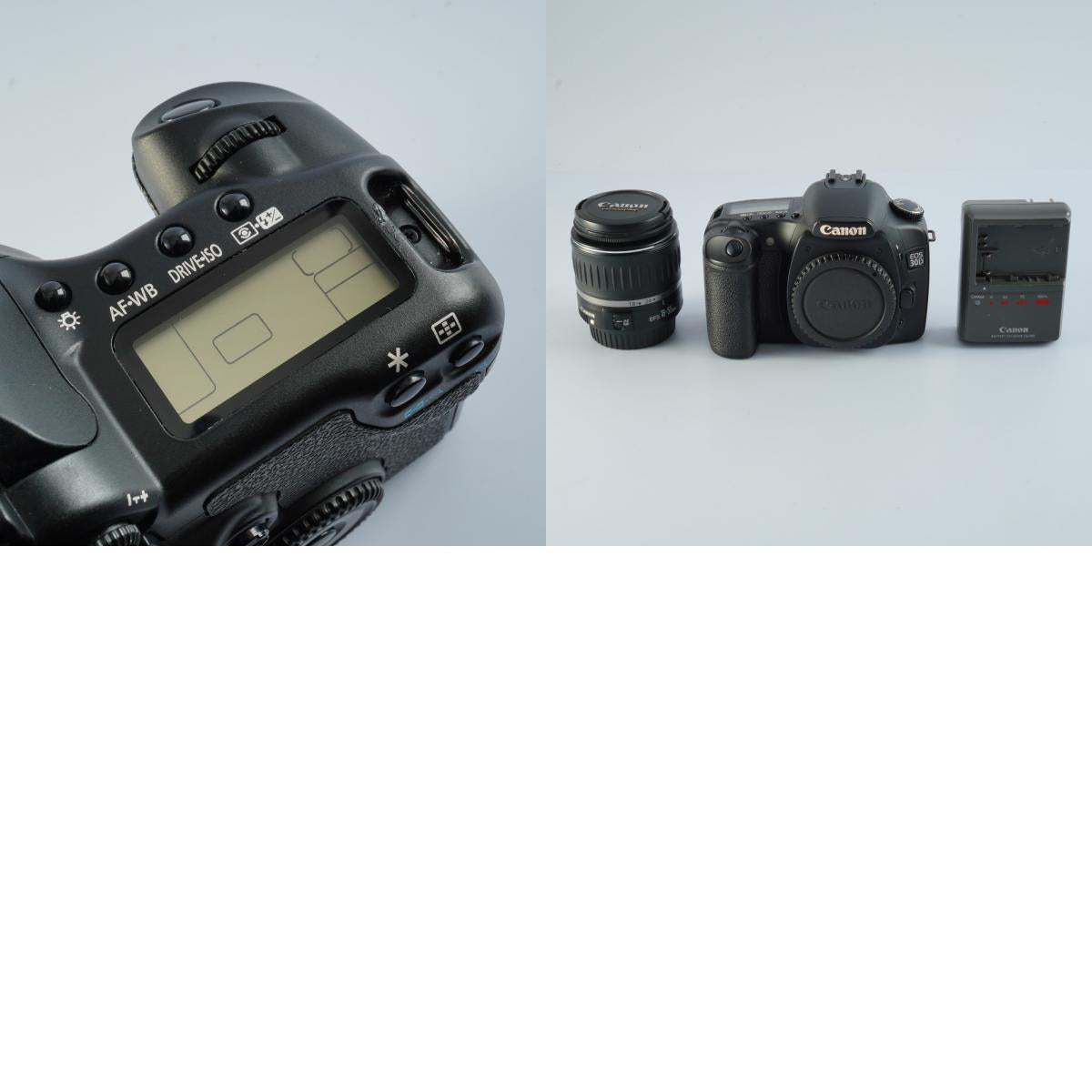 Canon EOS 30D + EF-S 18-55mm F/3.5-5.6 USM + CF 2GB デジタル一眼レフカメラ