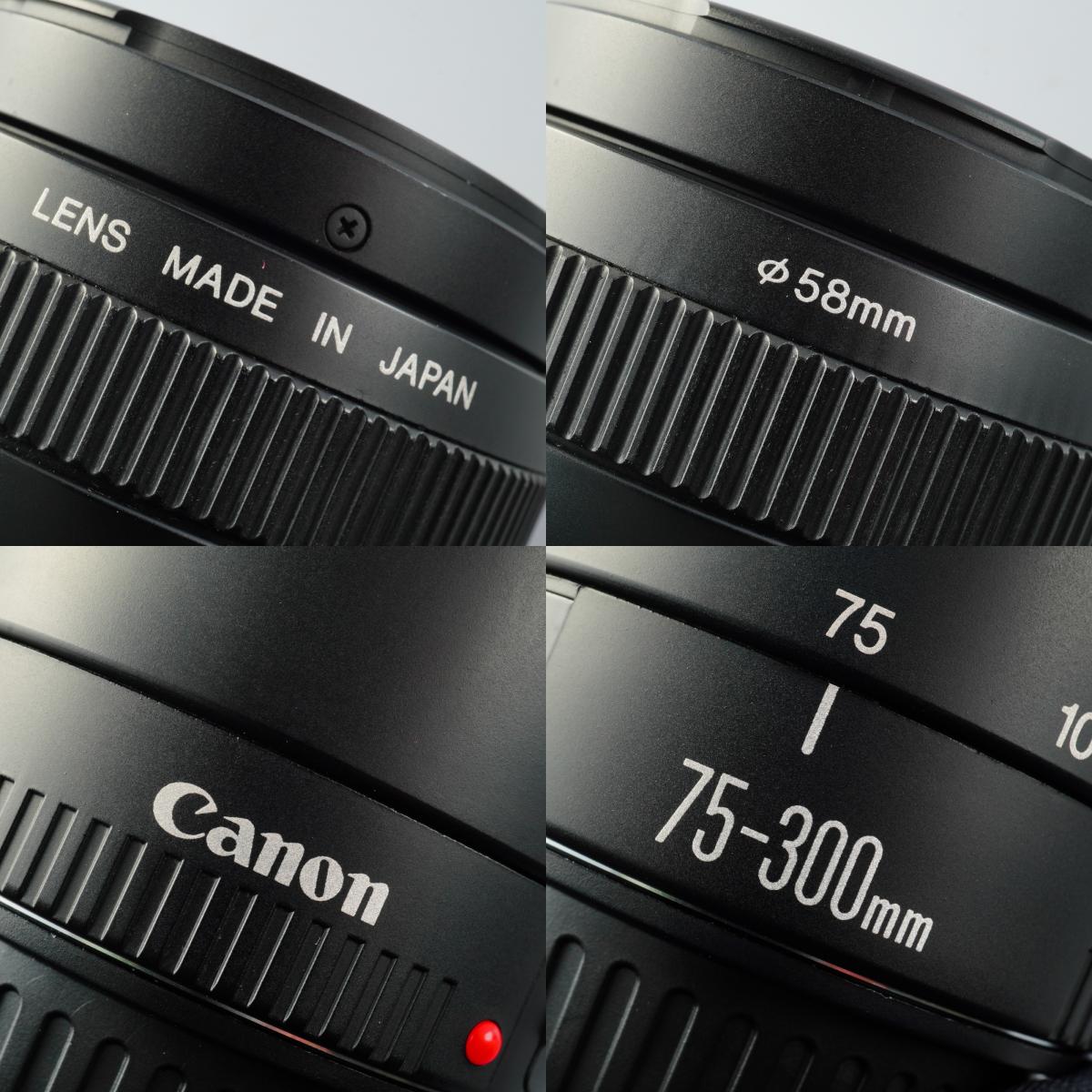 Canon EF 75-300mm F/4-5.6 Ⅱ USM ズームレンズ