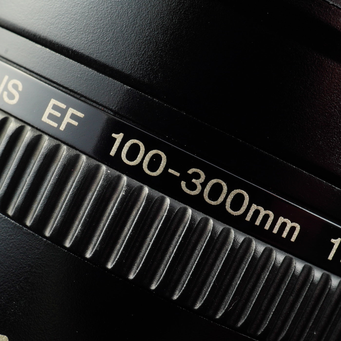 Canon EF 100-300mm F/5.6 ズームレンズ