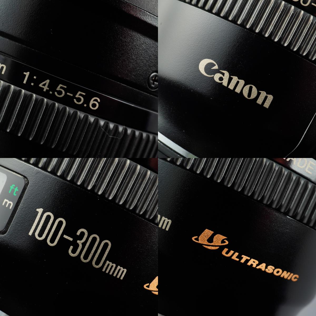Canon EF 100-300mm F/5.6 ズームレンズ