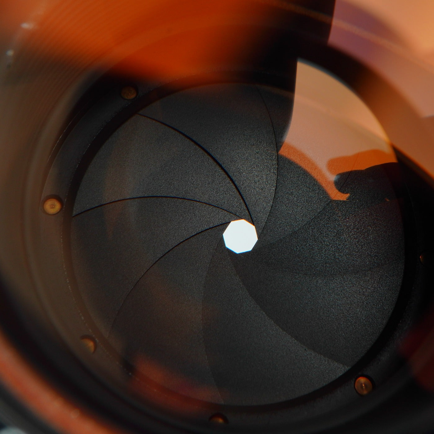 Canon FD 135mm F/2.5 S.C. 単焦点レンズ