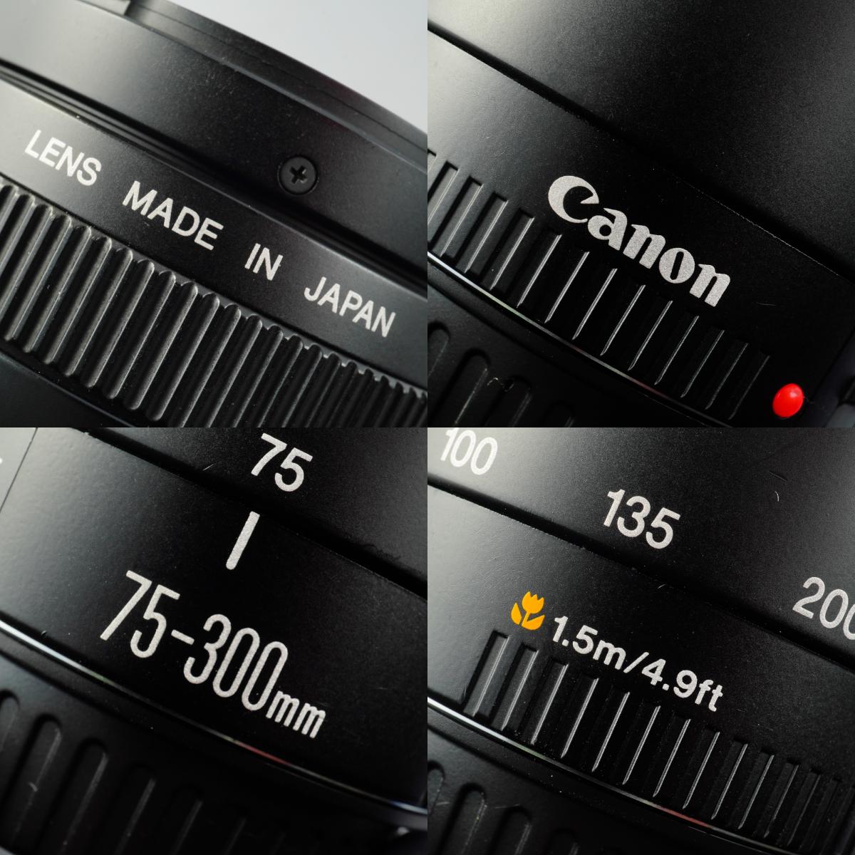 Canon EF 75-300mm F/4-5.6 Ⅱ ズームレンズ