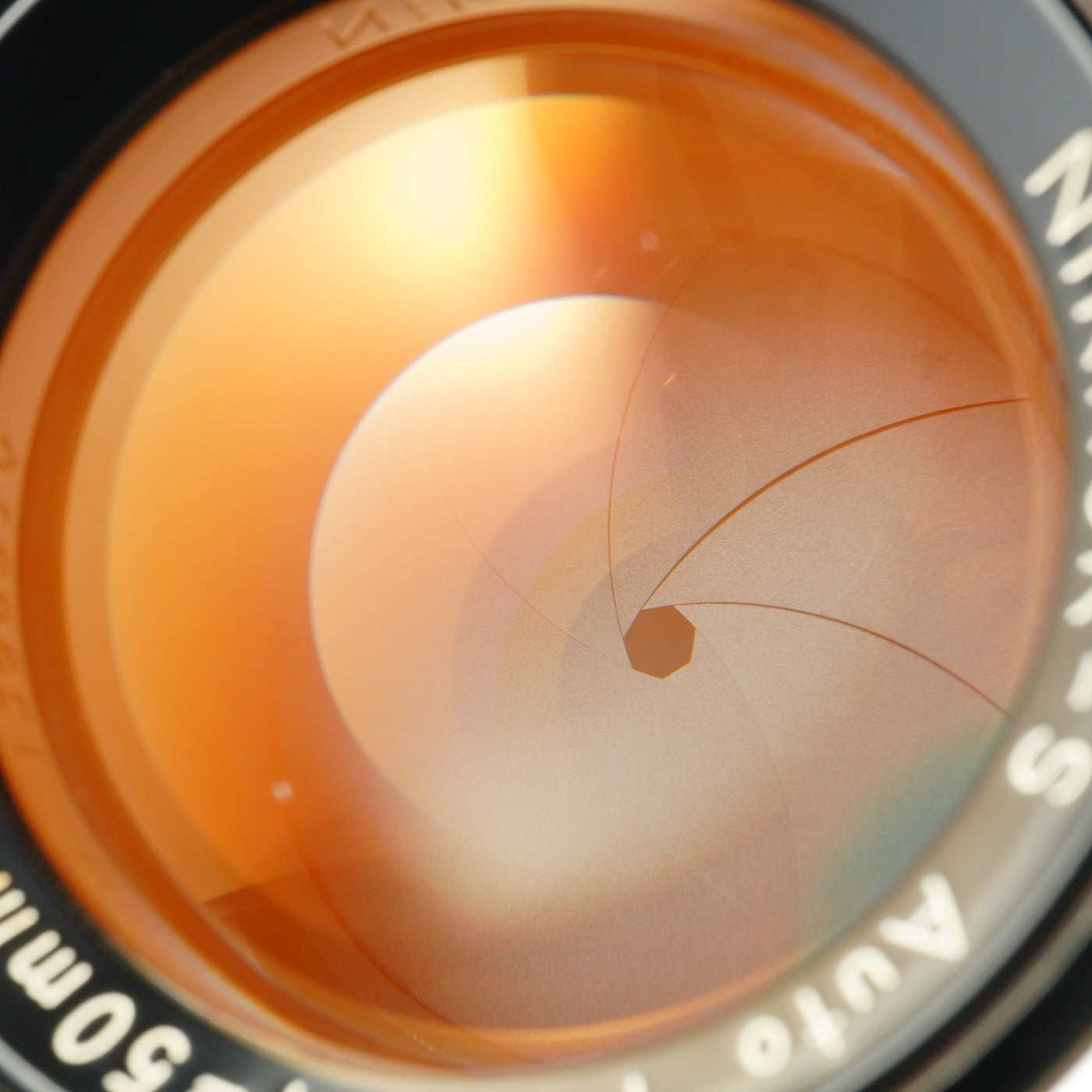 Nikon Nikkor-S Auto 50mm F/1.4 非Ai 単焦点レンズ