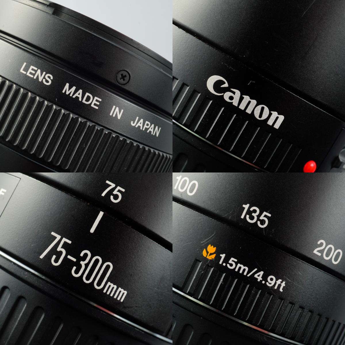 Canon EF 75-300mm F/4-5.6 Ⅱ ズームレンズ