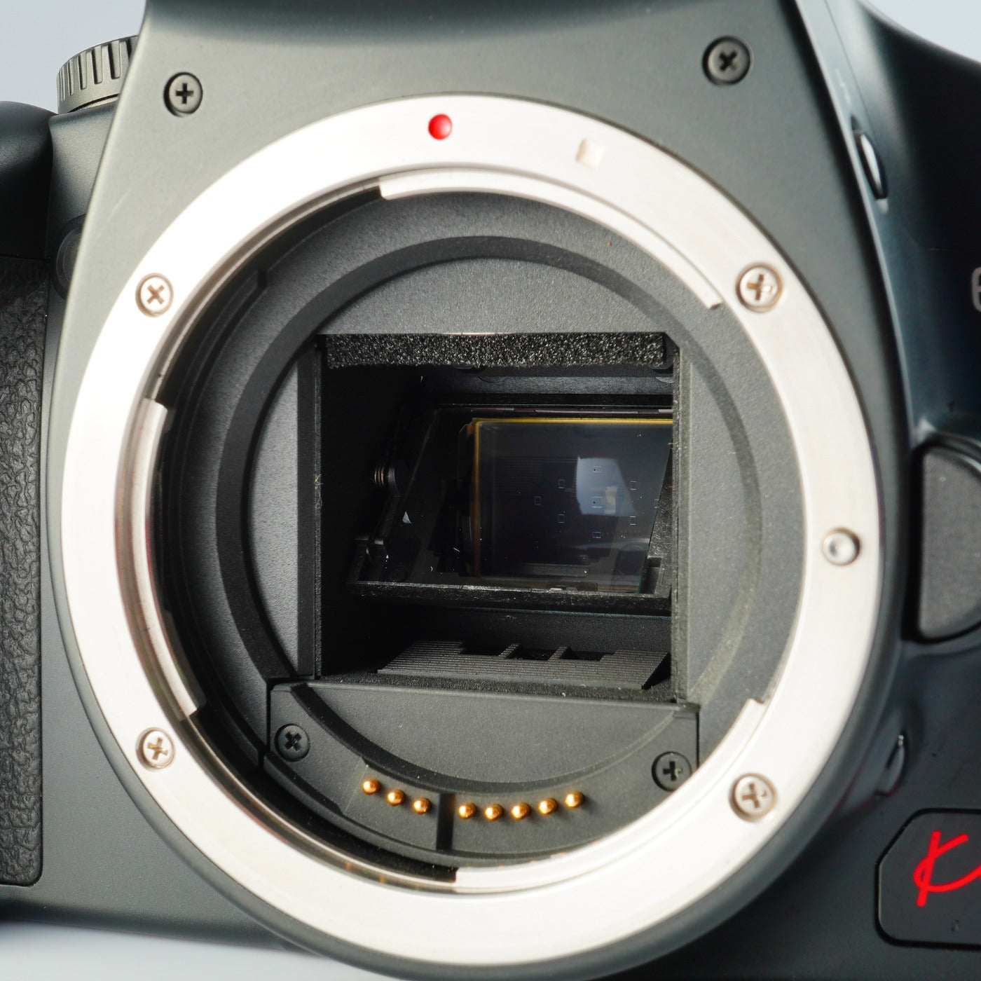 Canon EOS Kiss X2 ( Rebel XSi ) + EF-S 18-55mm F3.5-5.6 USM + SD 4GB デジタル一眼レフカメラ