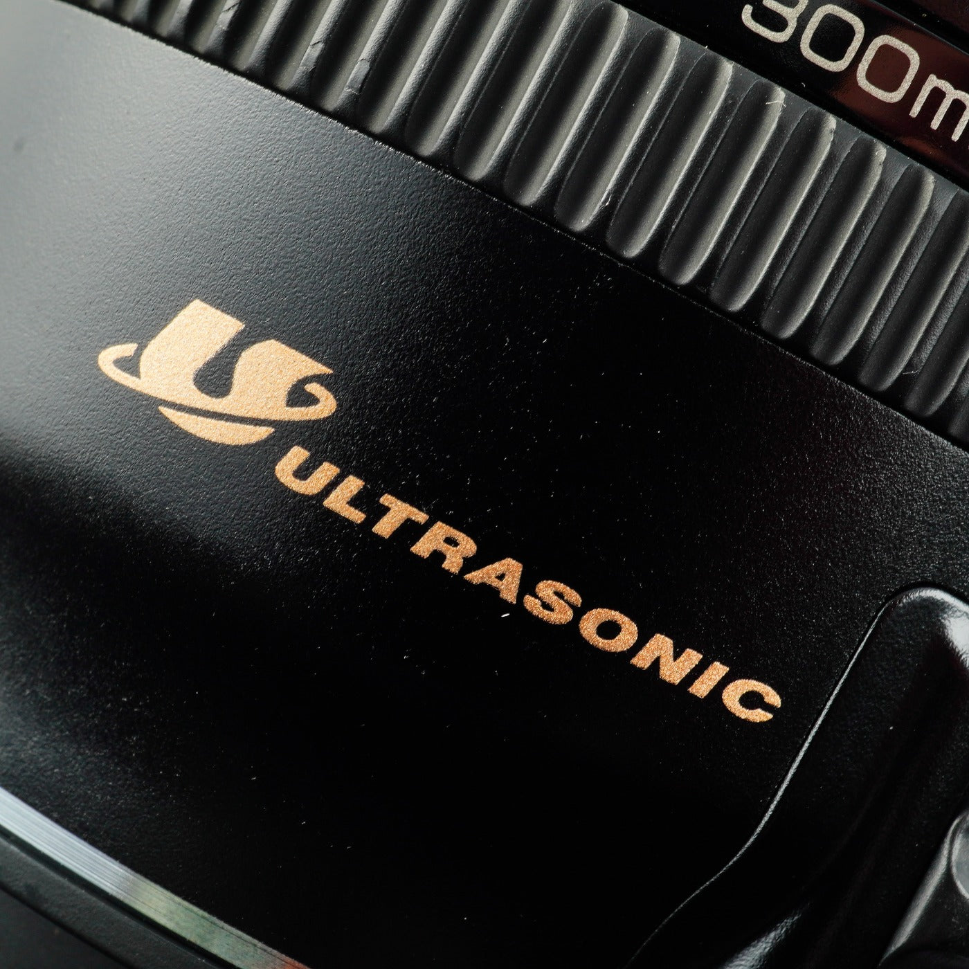 Canon EF 100-300mm F/4.5-5.6 USM ズームレンズ