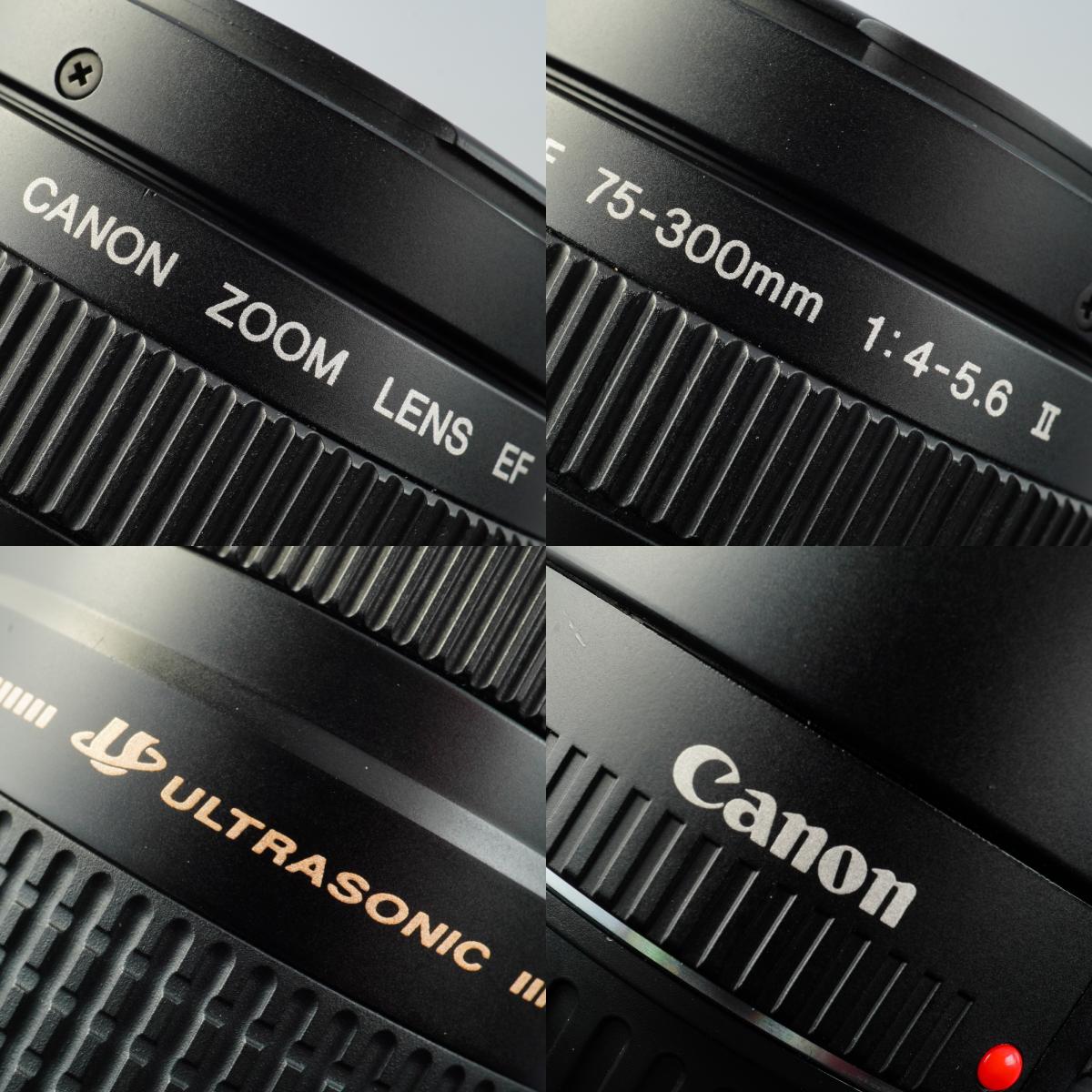 Canon EF 75-300mm F/4-5.6 Ⅱ USM ズームレンズ