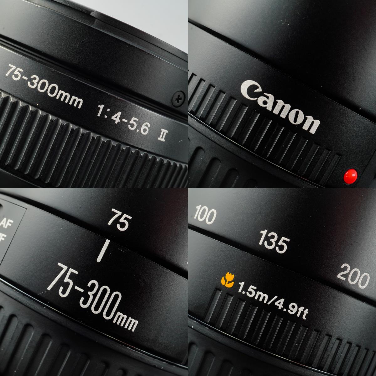 Canon EF 75-300mm F/4-5.6 Ⅱ ズームレンズ