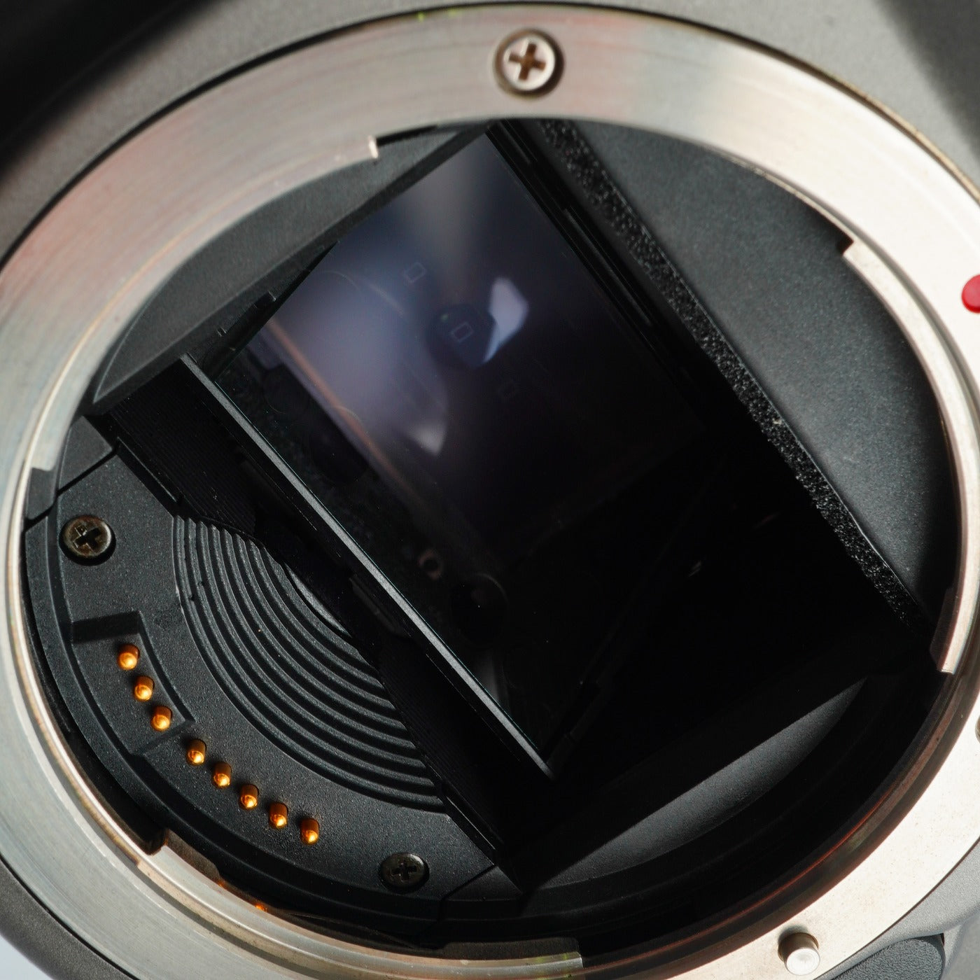 Canon EOS 10QD 60 Million Units Model Gray AF フィルム一眼レフカメラ