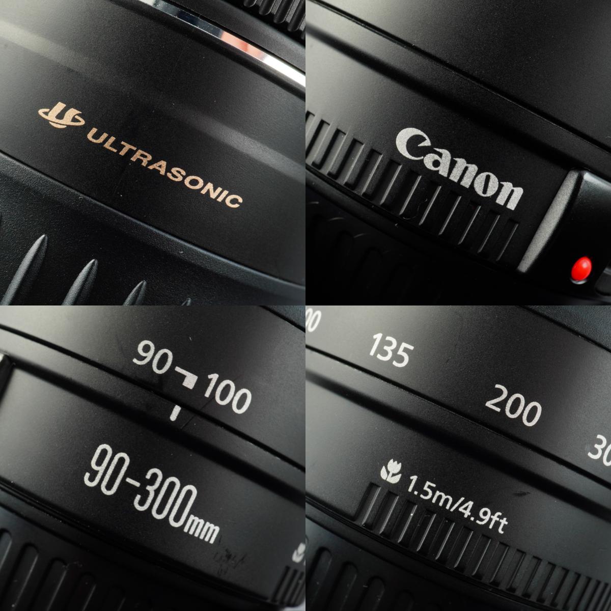 Canon EF 90-300mm F/4.5-5.6 USM ズームレンズ