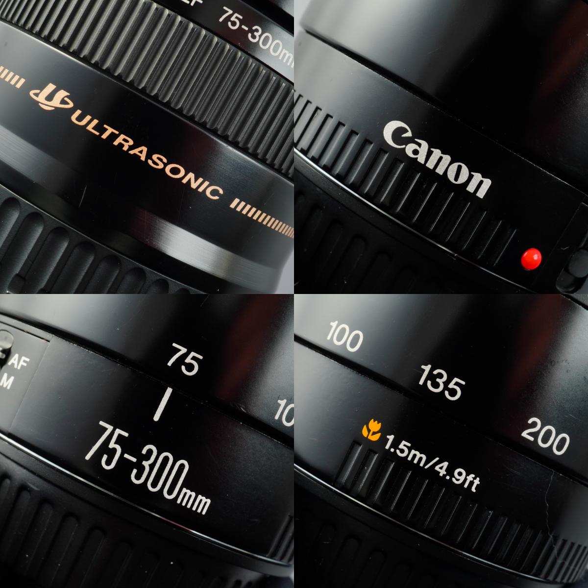 Canon EF 75-300mm F/4-5.6 USM ズームレンズ