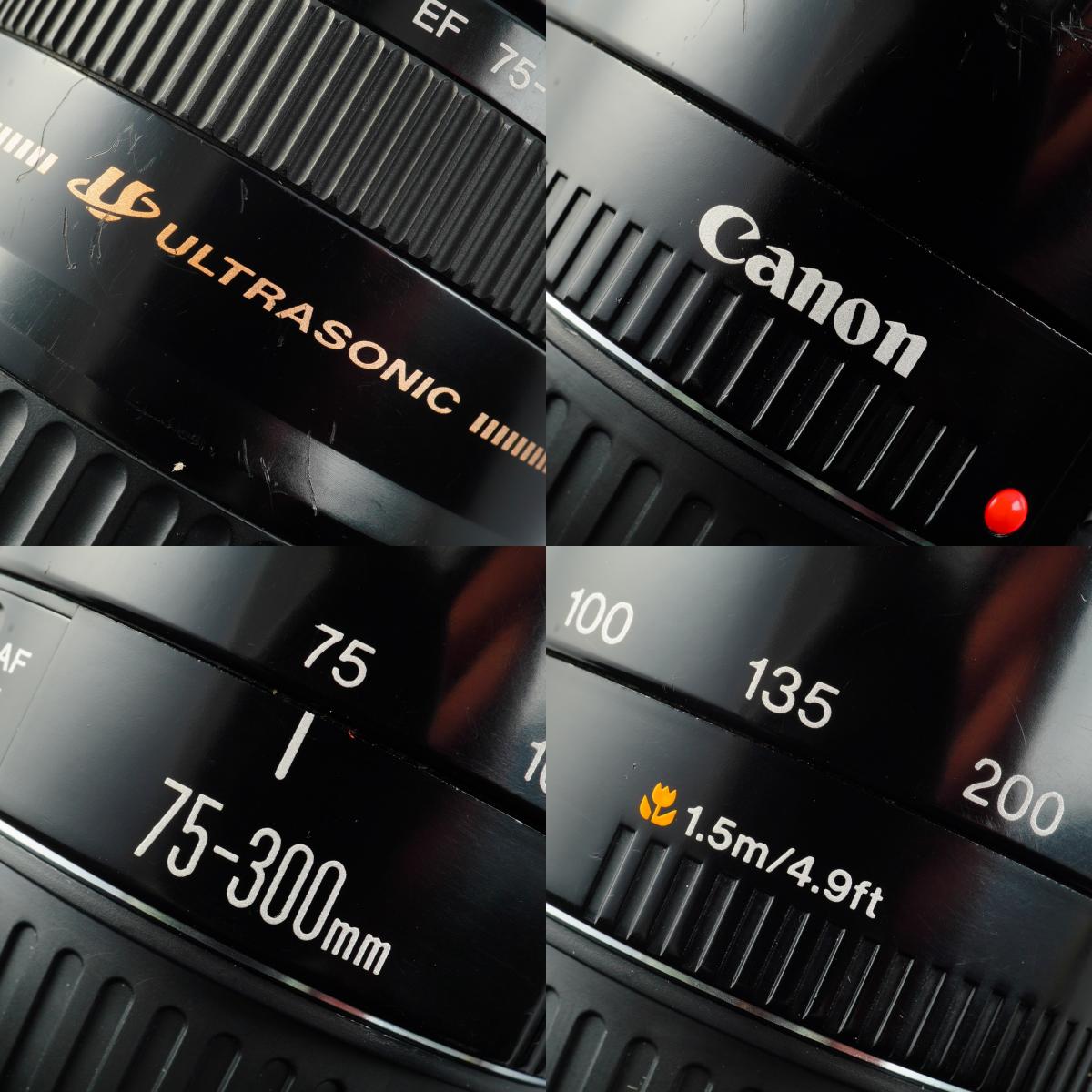 Canon EF 75-300mm F/4-5.6 USM ズームレンズ