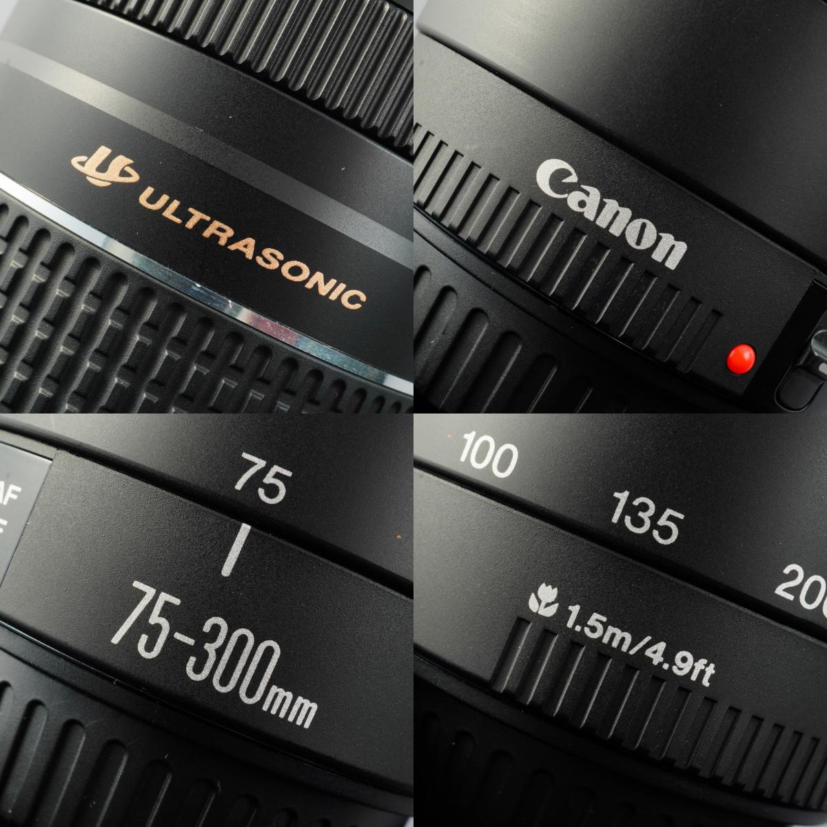 Canon EF 75-300mm F/4-5.6 Ⅲ USM ズームレンズ