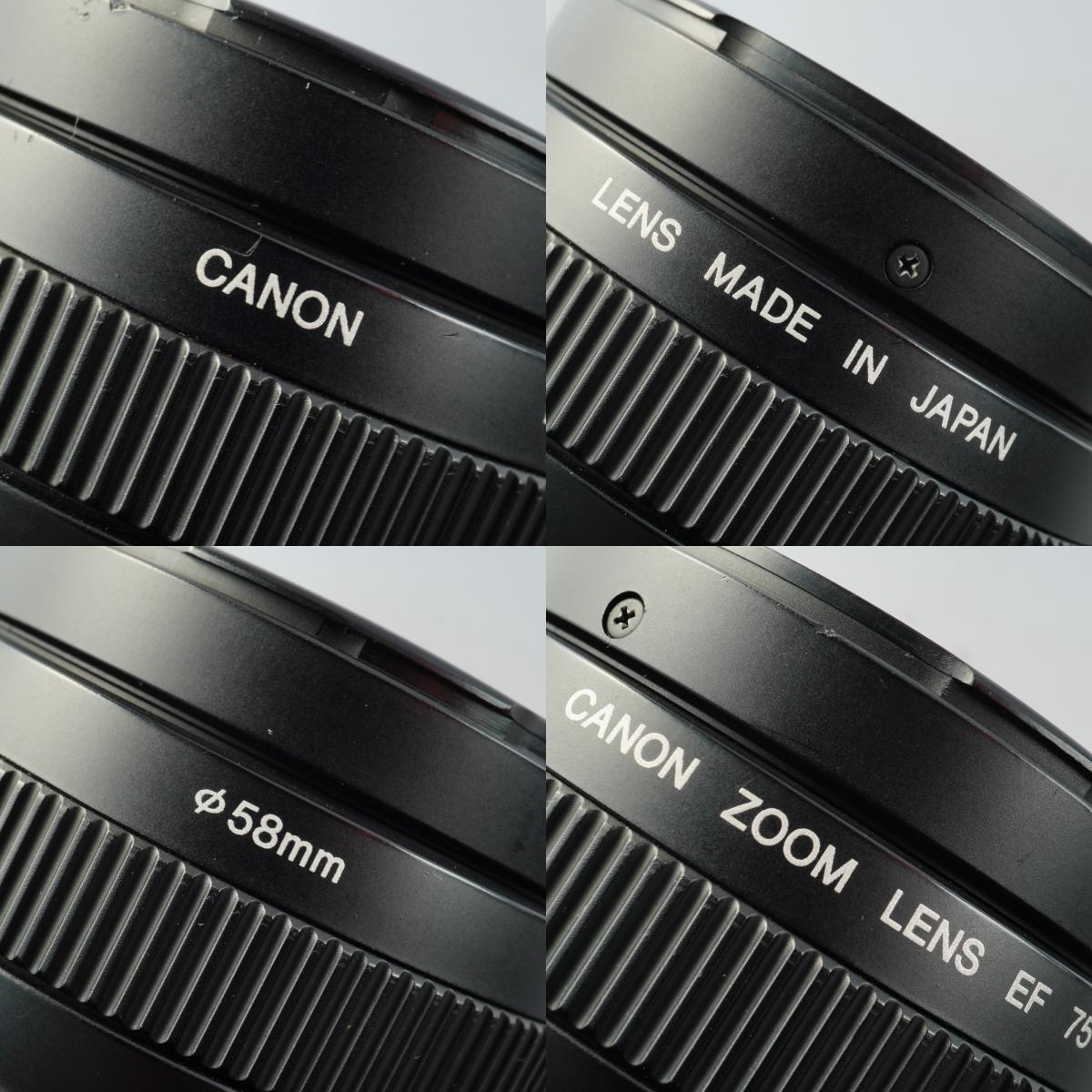 Canon EF 75-300mm F/4-5.6 Ⅱ ズームレンズ