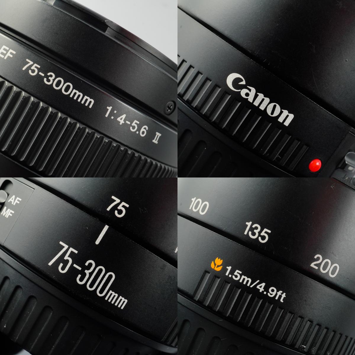Canon EF 75-300mm F/4-5.6 Ⅱ ズームレンズ
