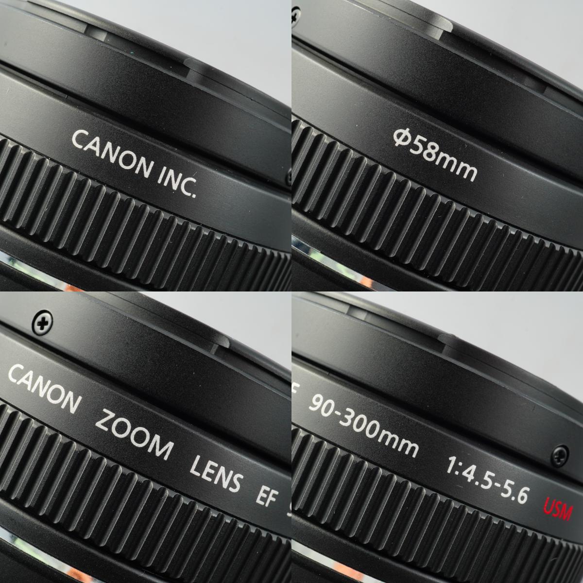 Canon EF 75-300mm F/4-5.6 Ⅱ ズームレンズ