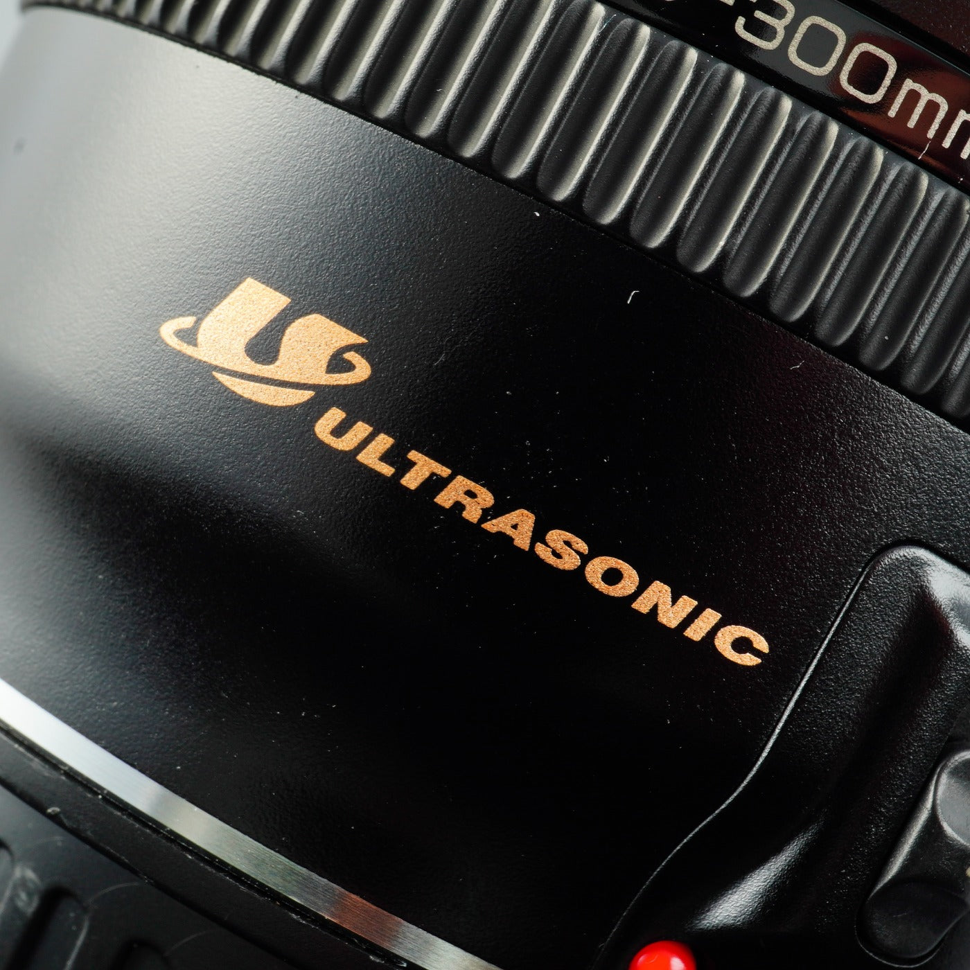 Canon EF 100-300mm F/4.5-5.6 USM ズームレンズ