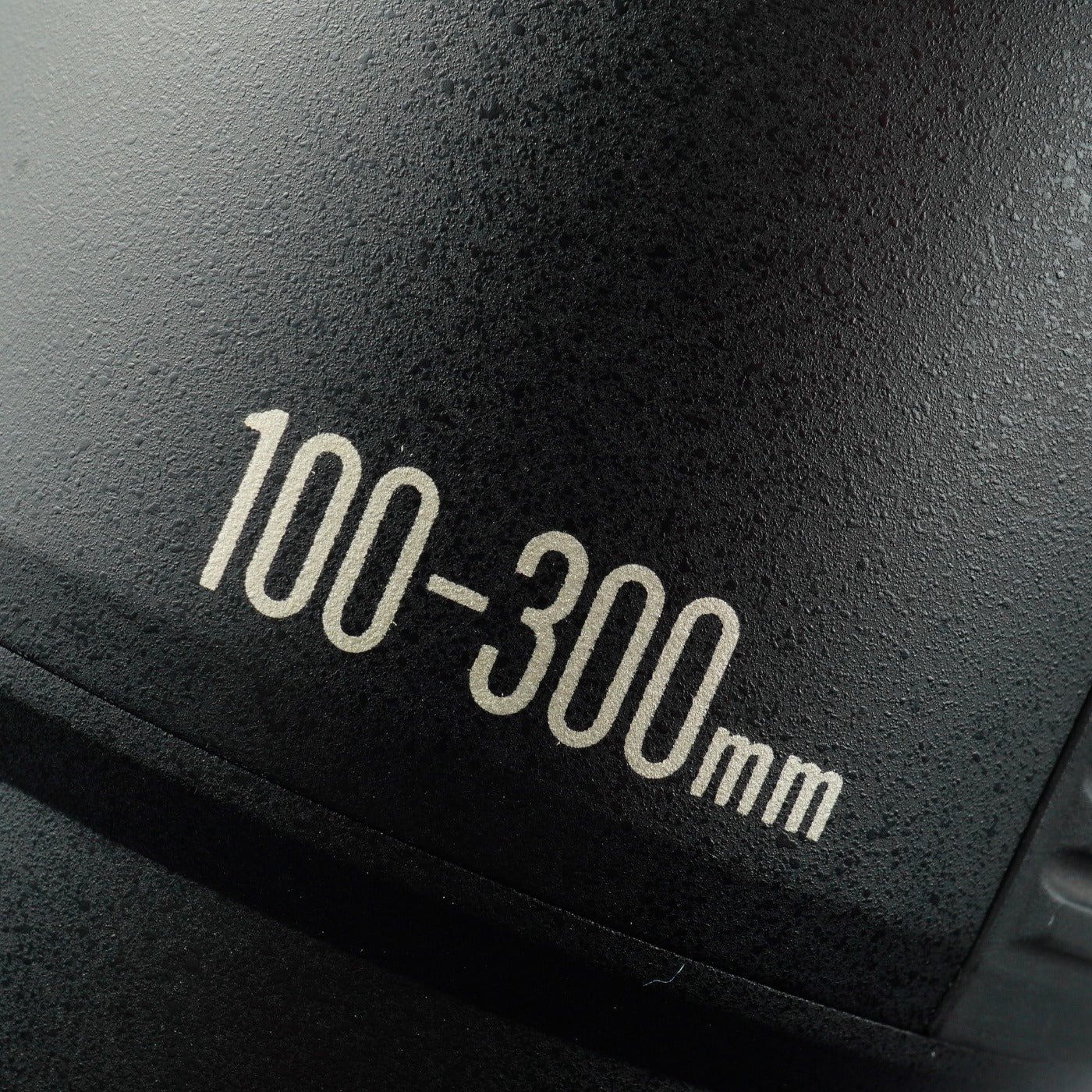 Canon EF 100-300mm F/5.6 ズームレンズ