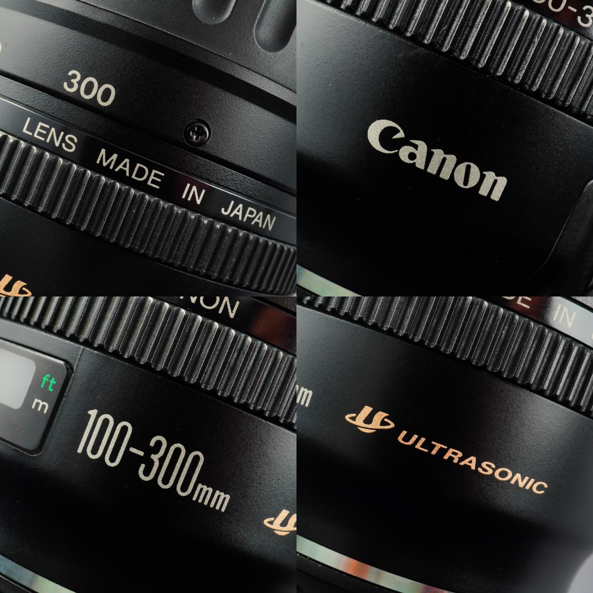 Canon EF 100-300mm F/4.5-5.6 USM ズームレンズ