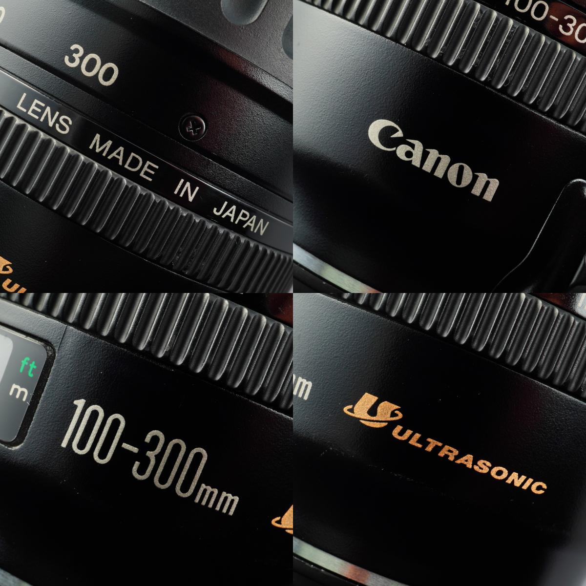 Canon EF 100-300mm F/4.5-5.6 USM ズームレンズ