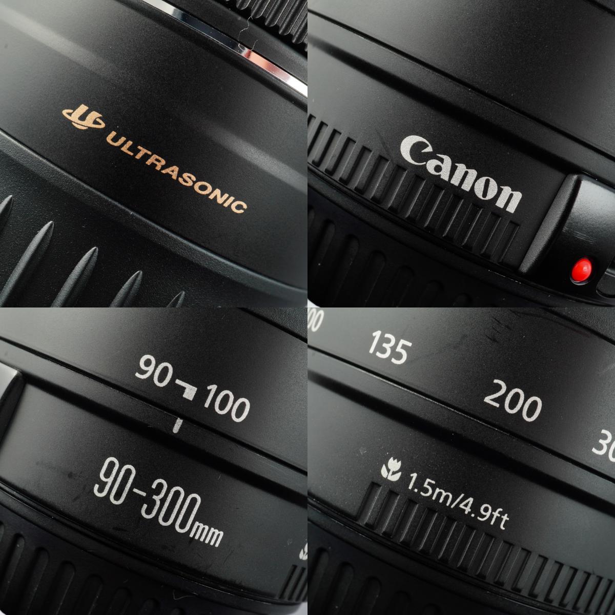 Canon EF 90-300mm F/4.5-5.6 USM ズームレンズ