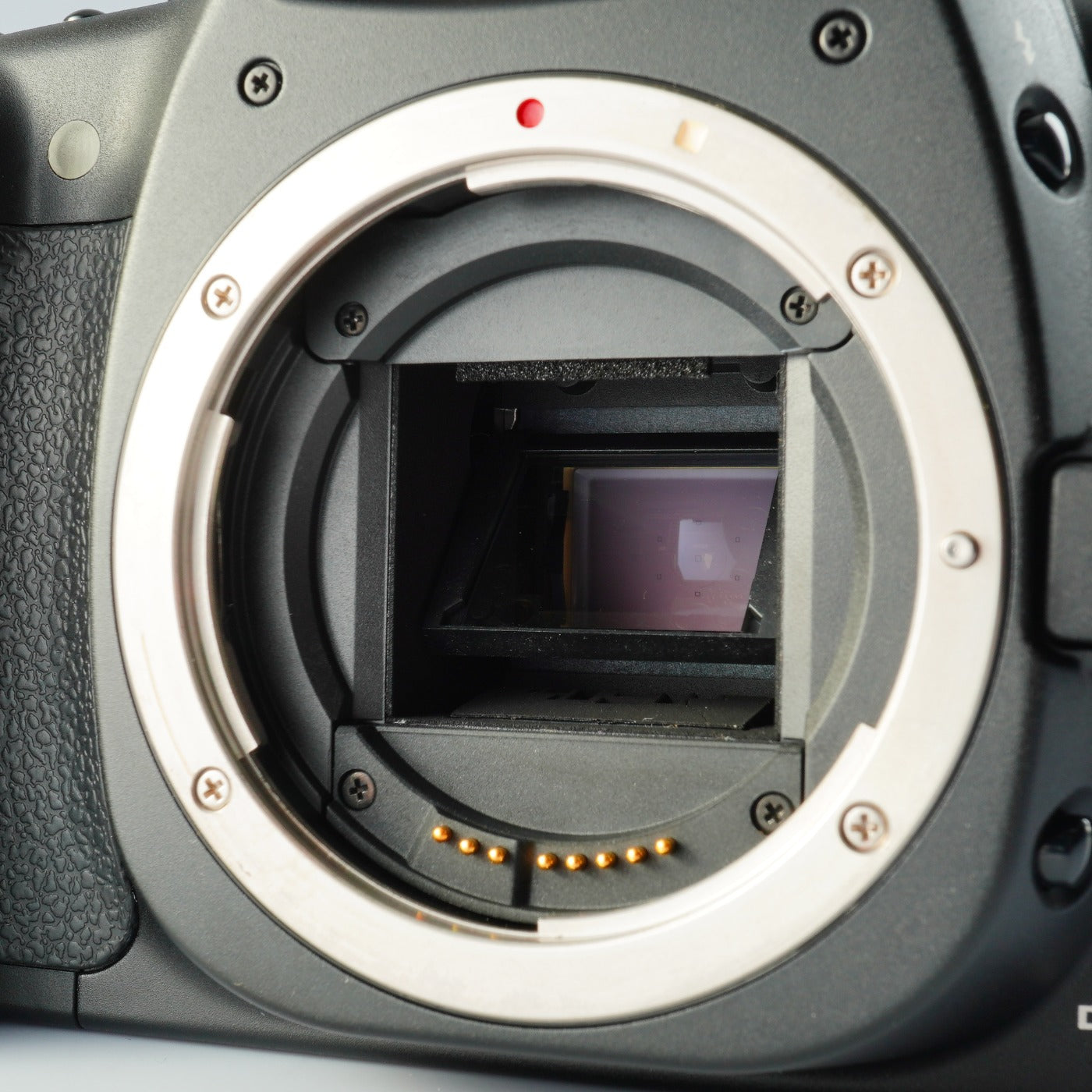 Canon EOS 20D + EF-S 18-55mm F/3.5-5.6Ⅱ USM + CF 2GB デジタル一眼レフカメラ