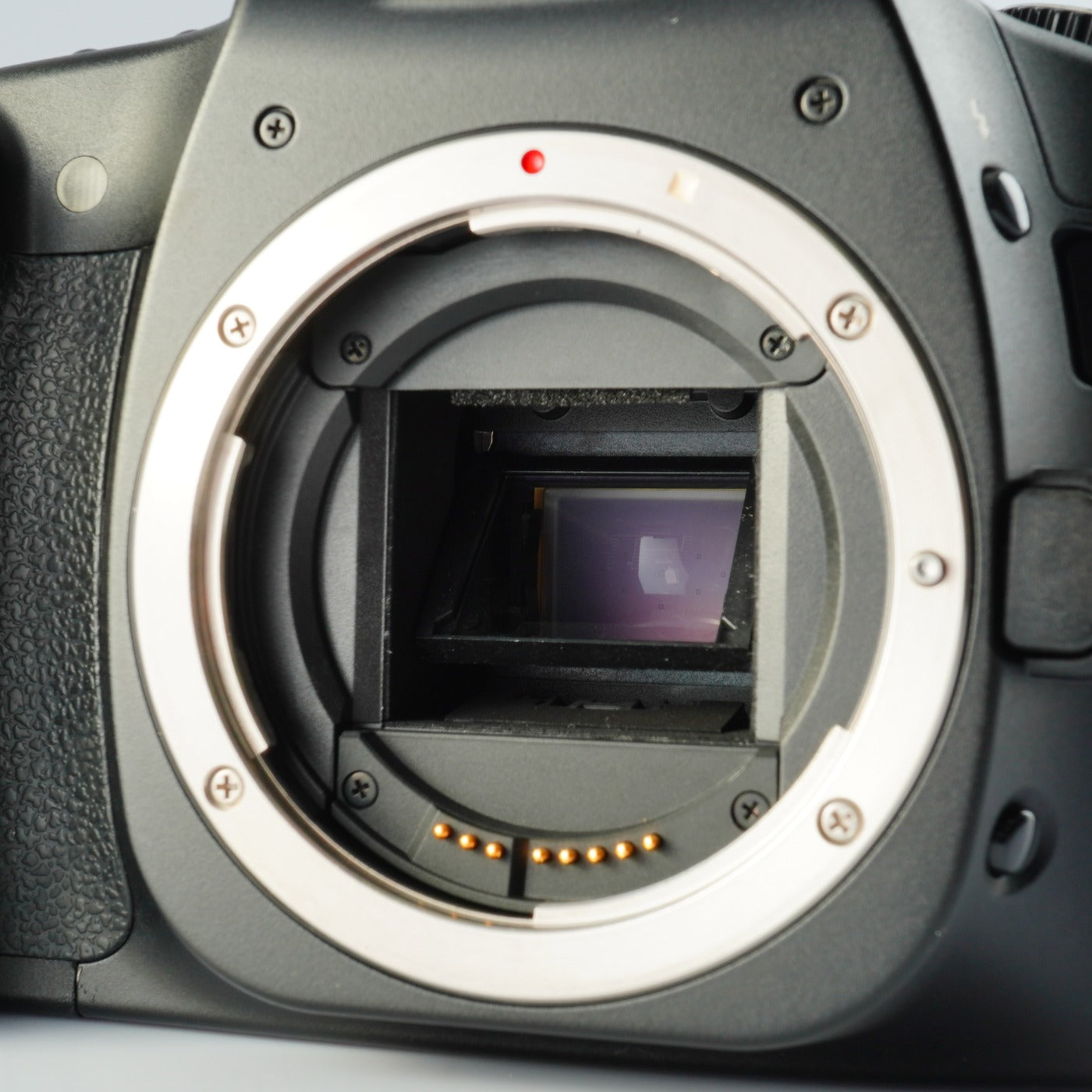 Canon EOS 30D + EF-S 18-55mm F/3.5-5.6 IS + CF 2GB デジタル一眼レフカメラ