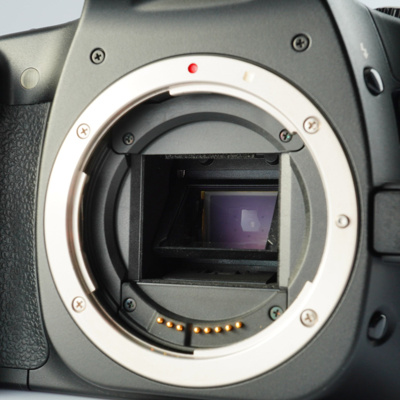 Canon EOS 30D + EF-S 18-55mm F/3.5-5.6 IS + CF 2GB デジタル一眼レフカメラ