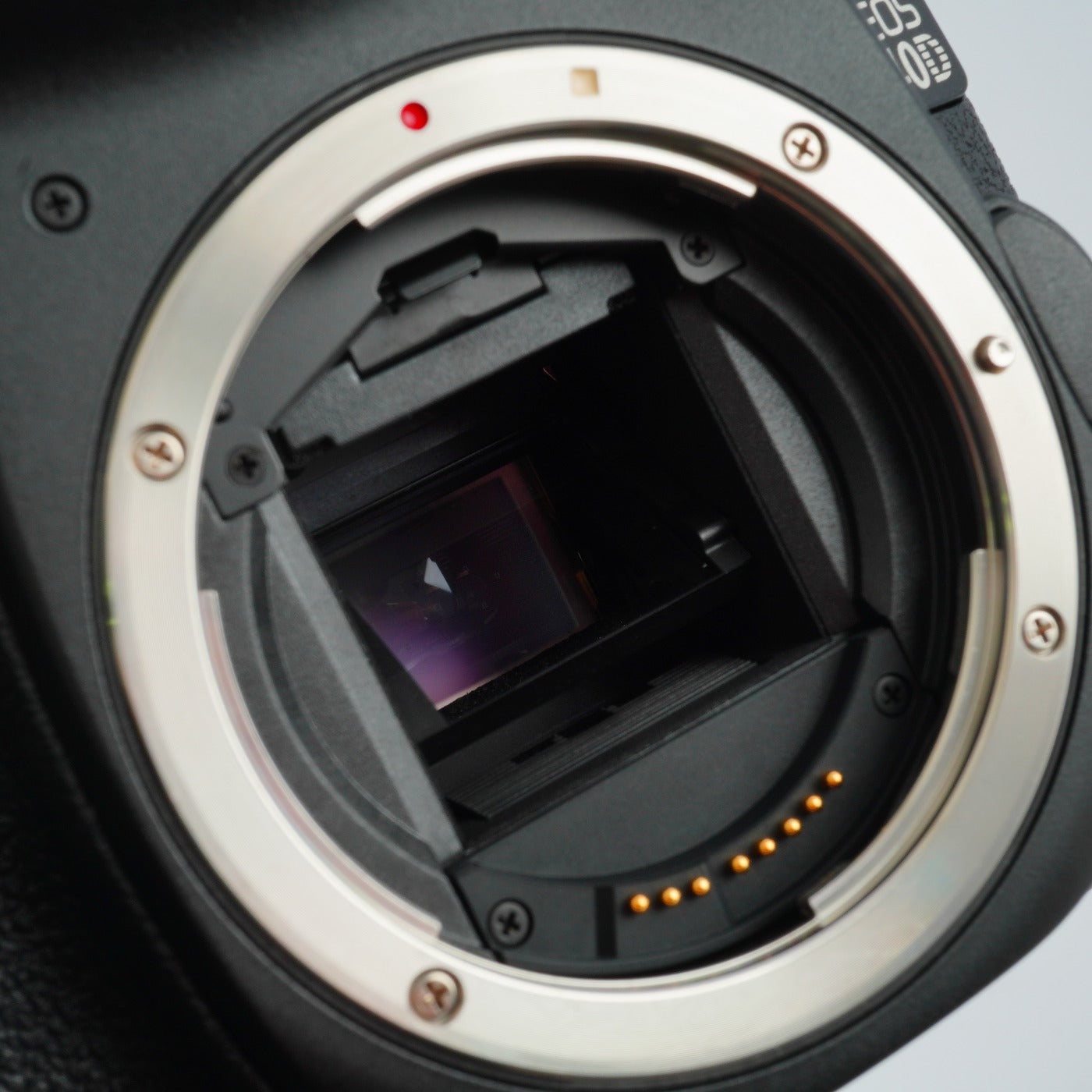 Canon EOS 40D デジタル一眼レフカメラ