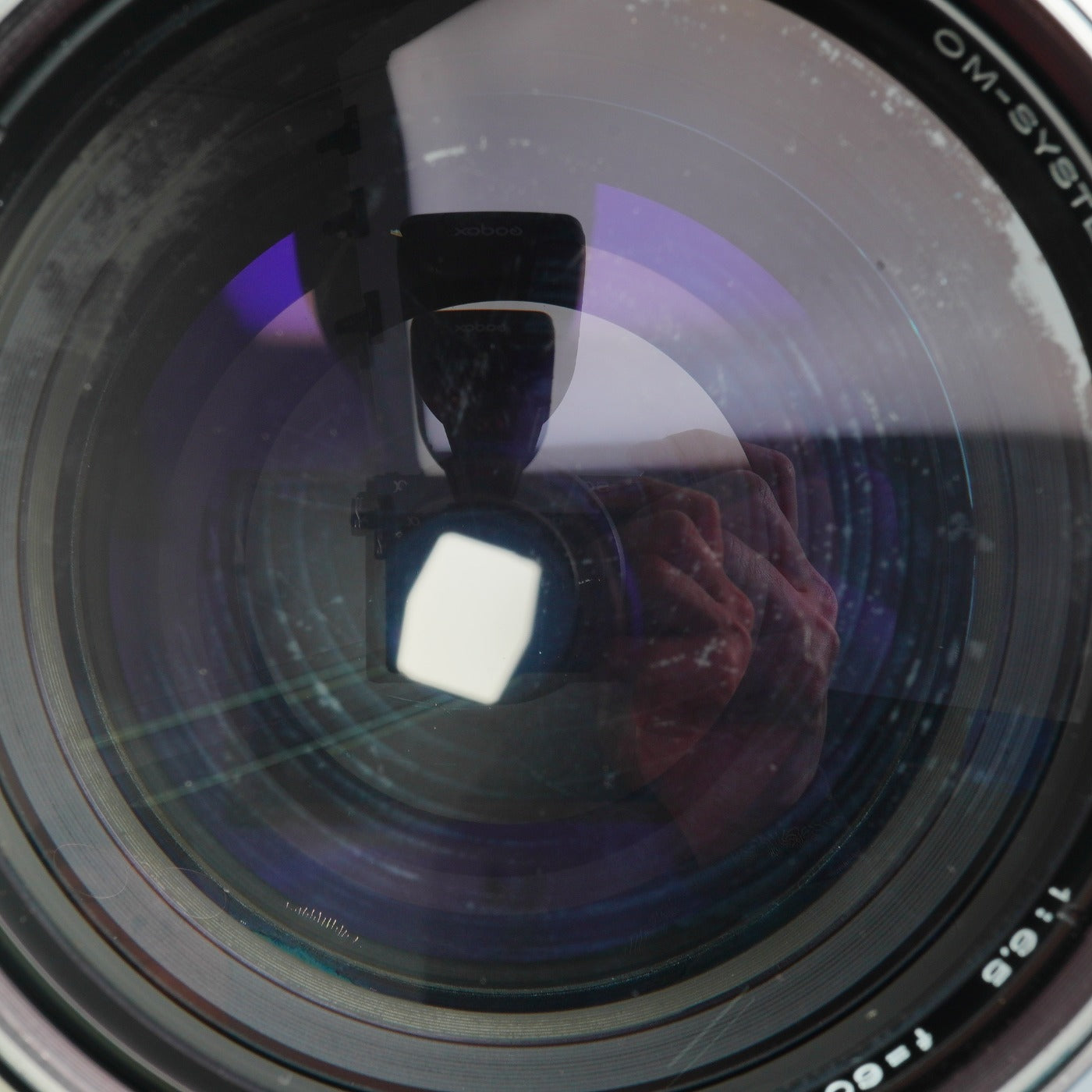 OLYMPUS OM-SYSTEM F.ZUIKO AUTO-T 600mm F/6.5 単焦点レンズ