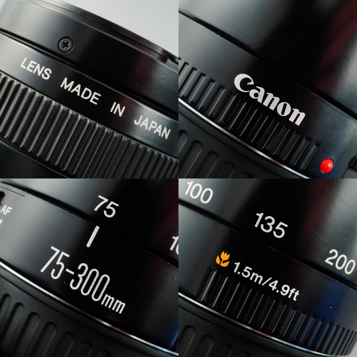 Canon EF 75-300mm F/4-5.6 USM ズームレンズ