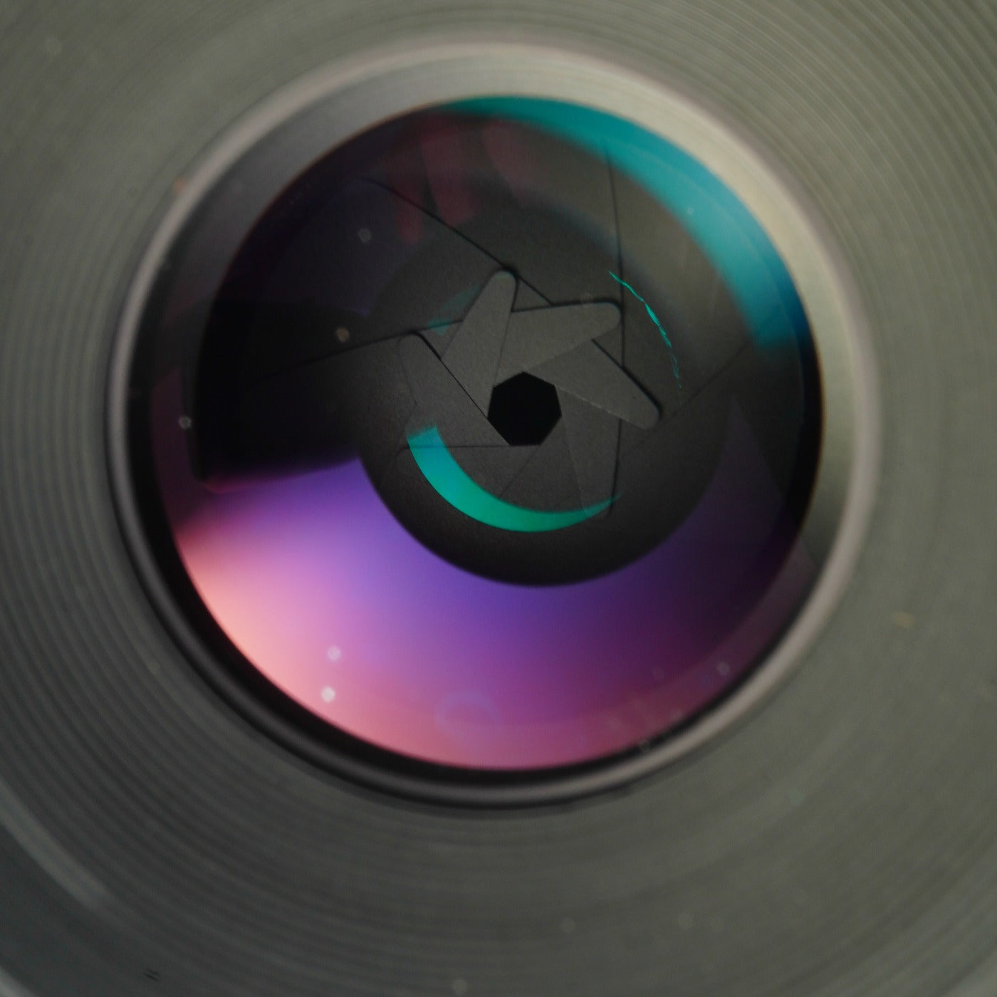 Nikon 非Ai Micro-NIKKOR 105mm F/4 + PN-1 Extension Tube 単焦点レンズ