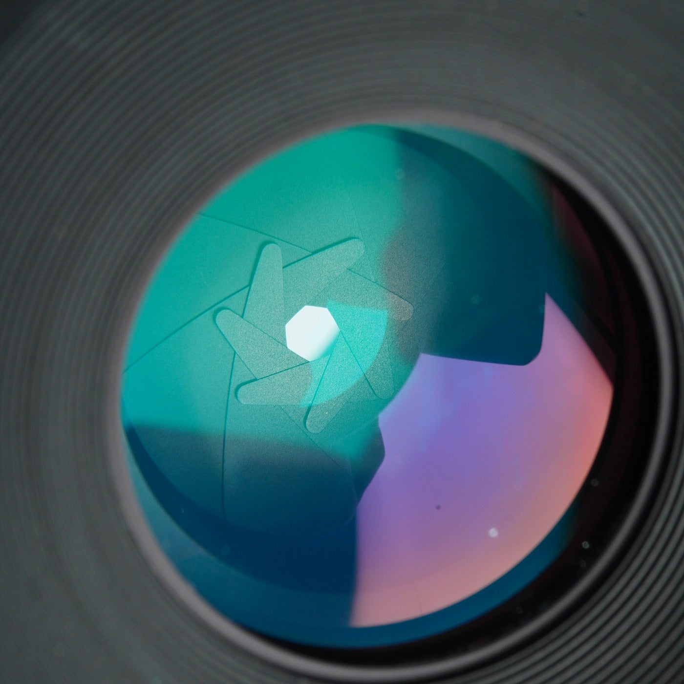 Nikon 非Ai Micro-NIKKOR 105mm F/4 + PN-1 Extension Tube 単焦点レンズ