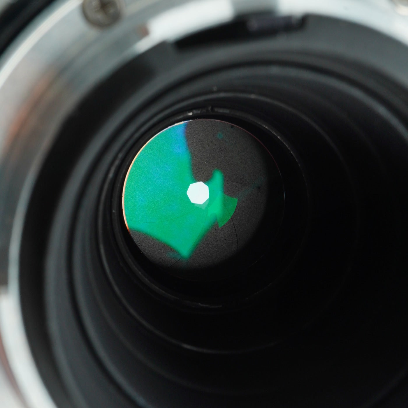 Nikon 非Ai Micro-NIKKOR 105mm F/4 + PN-1 Extension Tube 単焦点レンズ