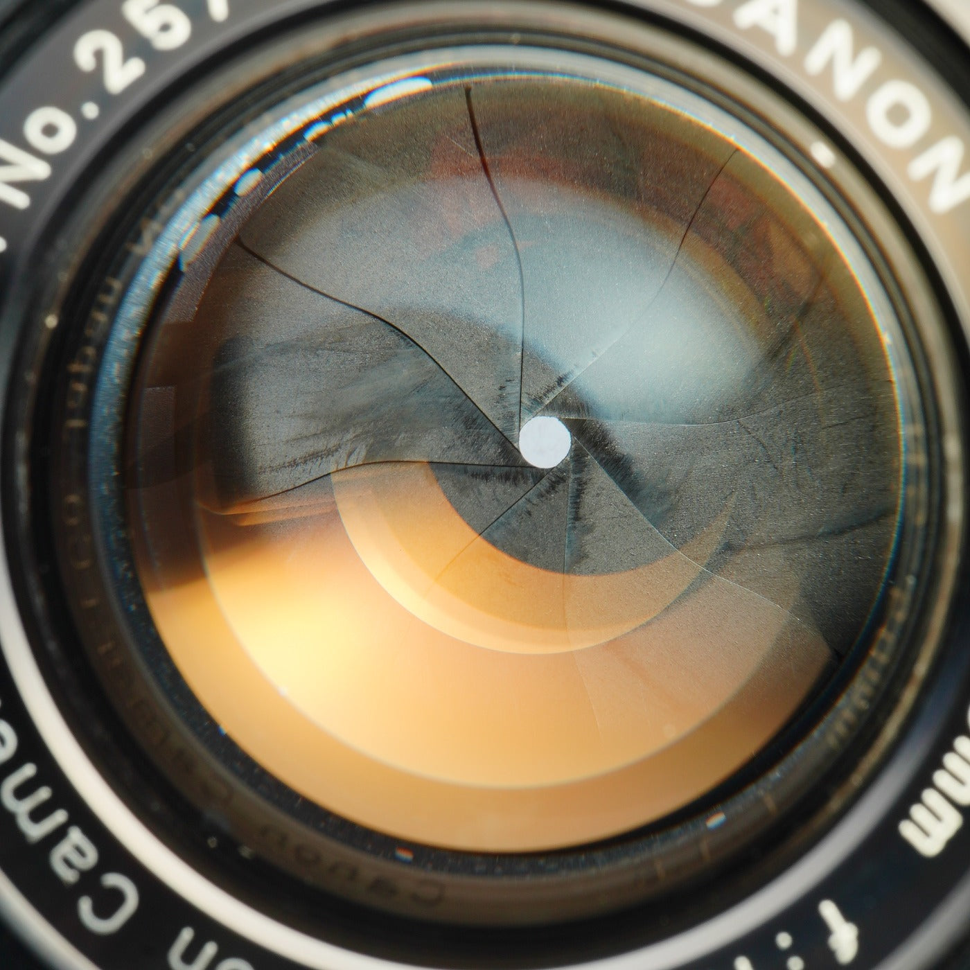 Canon 50mm F/1.8 For L39 LTM 単焦点レンズ